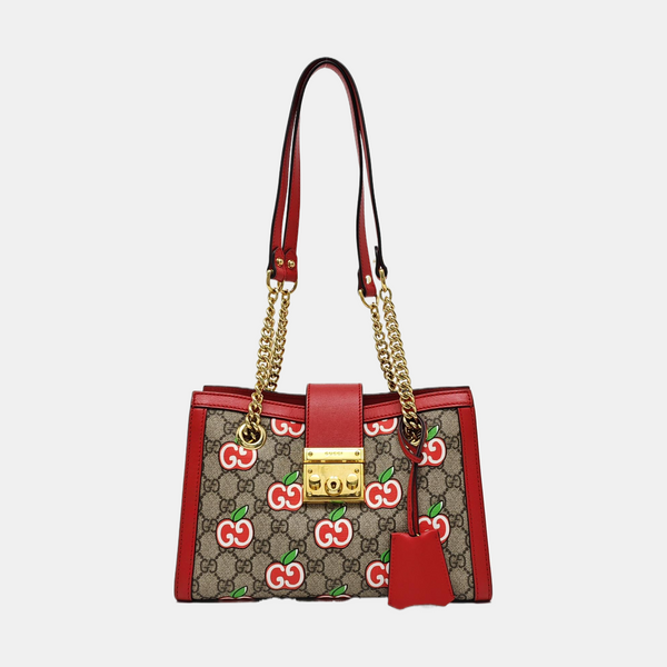 Padlock Small Monogram Coated Canvas Multicolor