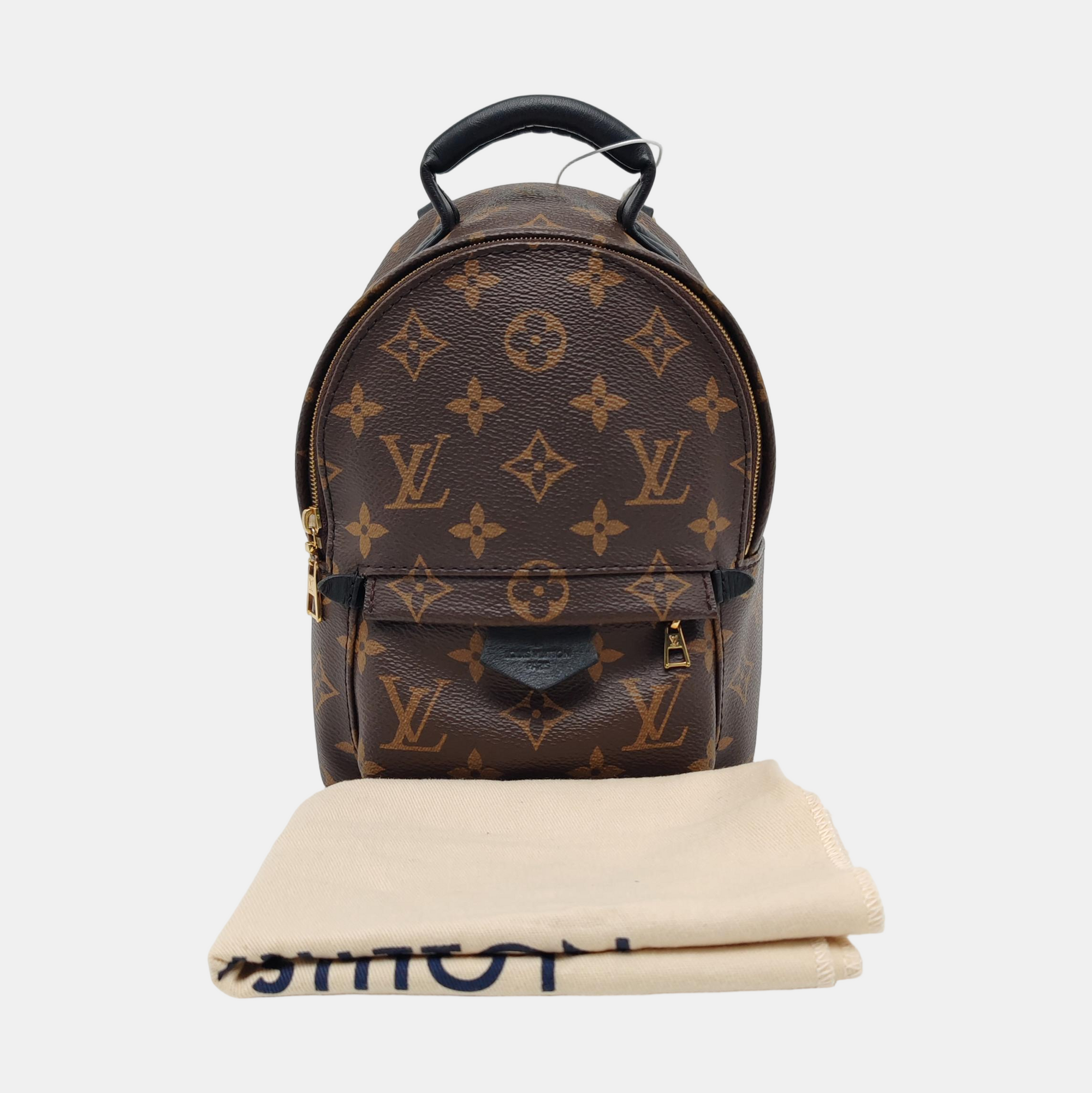 PALM SPRINGS Mini Monogram Coated Canvas Brown
