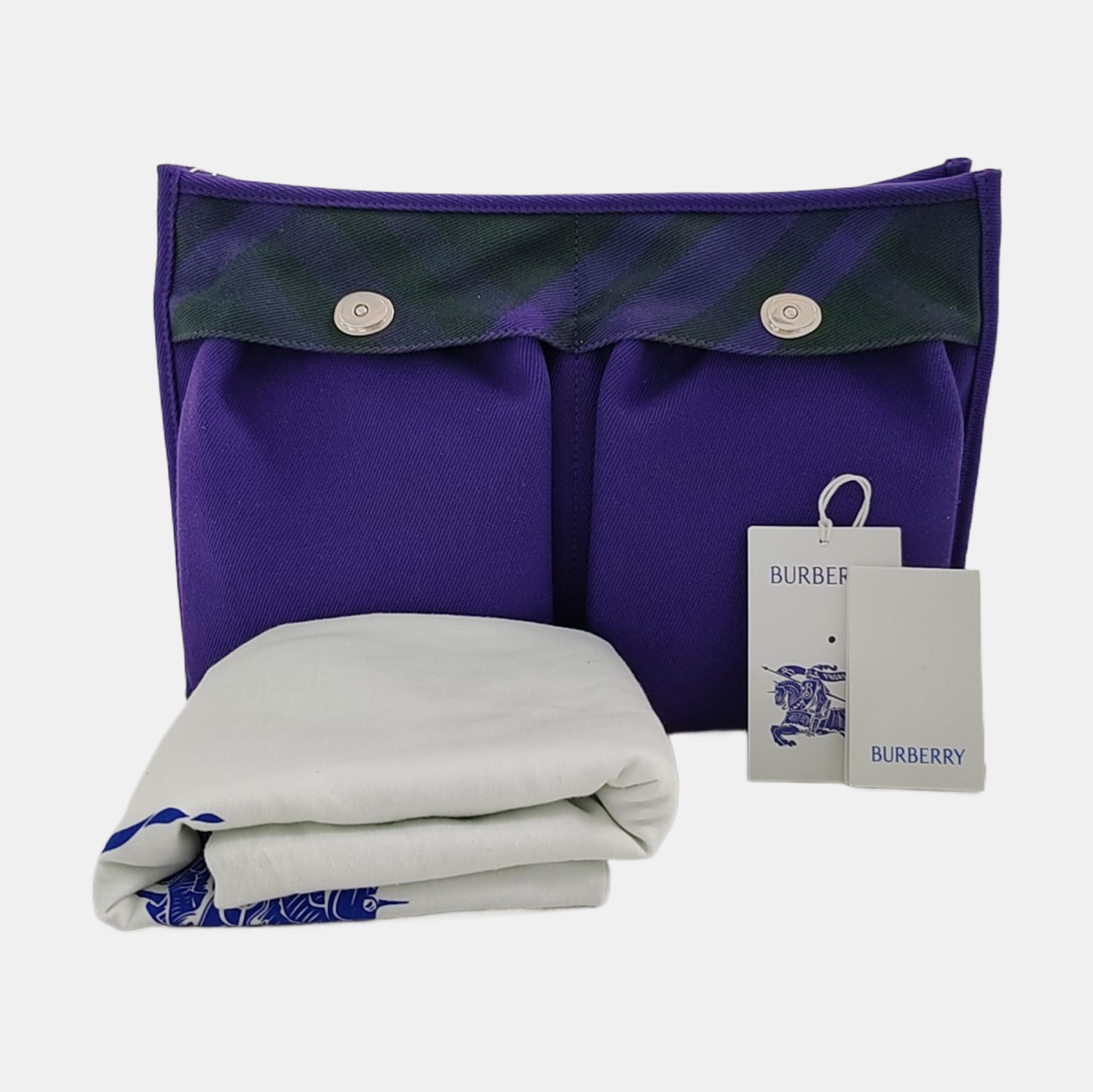 Canvas Purple