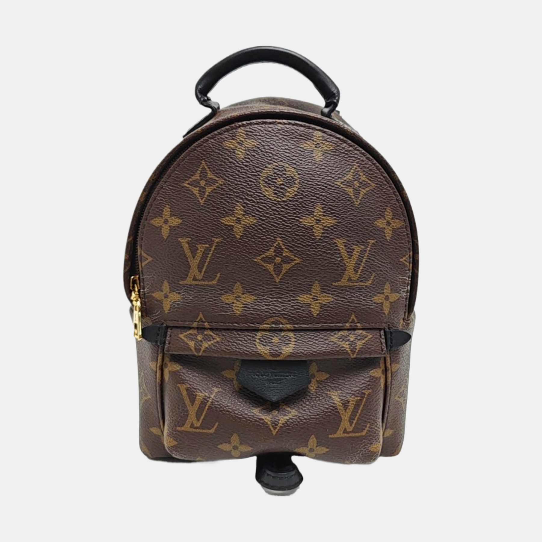 PALM SPRINGS Mini Monogram Coated Canvas Brown