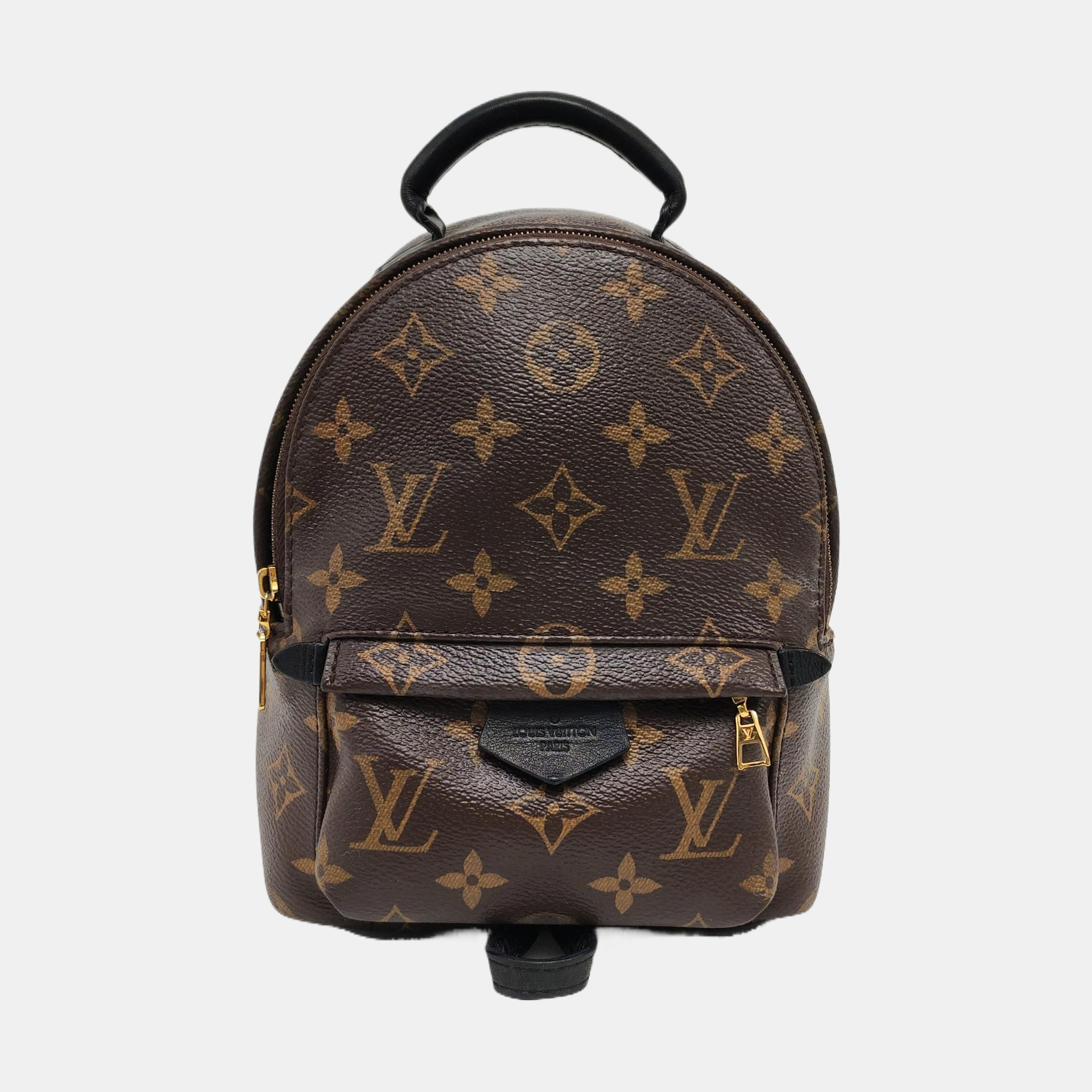 PALM SPRINGS Mini Monogram Coated Canvas Brown