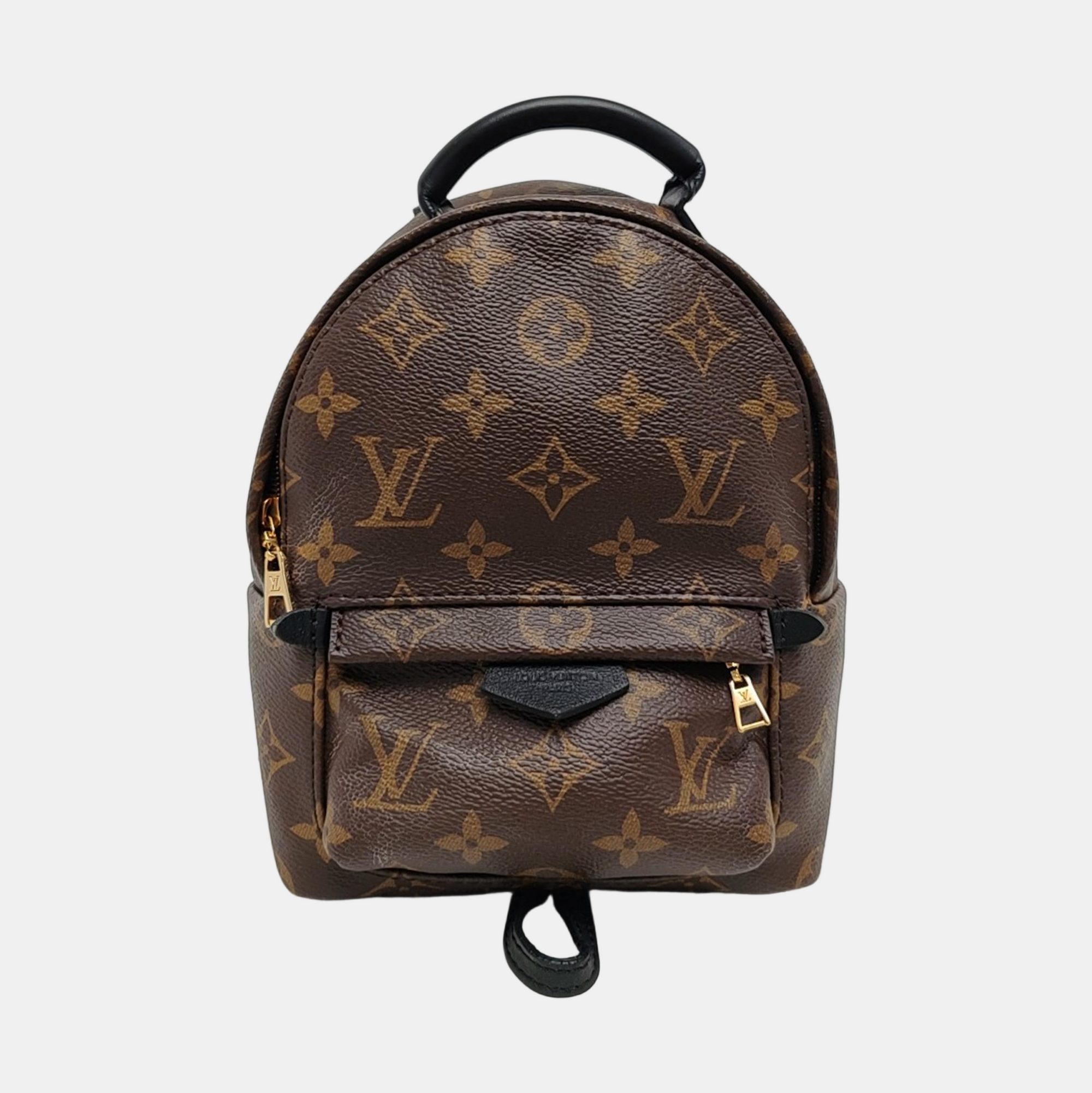 PALM SPRINGS Mini Monogram Coated Canvas Brown