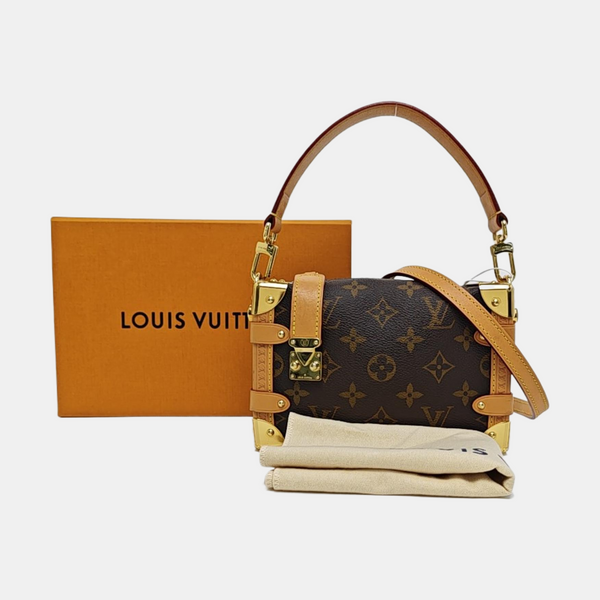 SIDE TRUNK PM Monogram Coated Canvas Brown