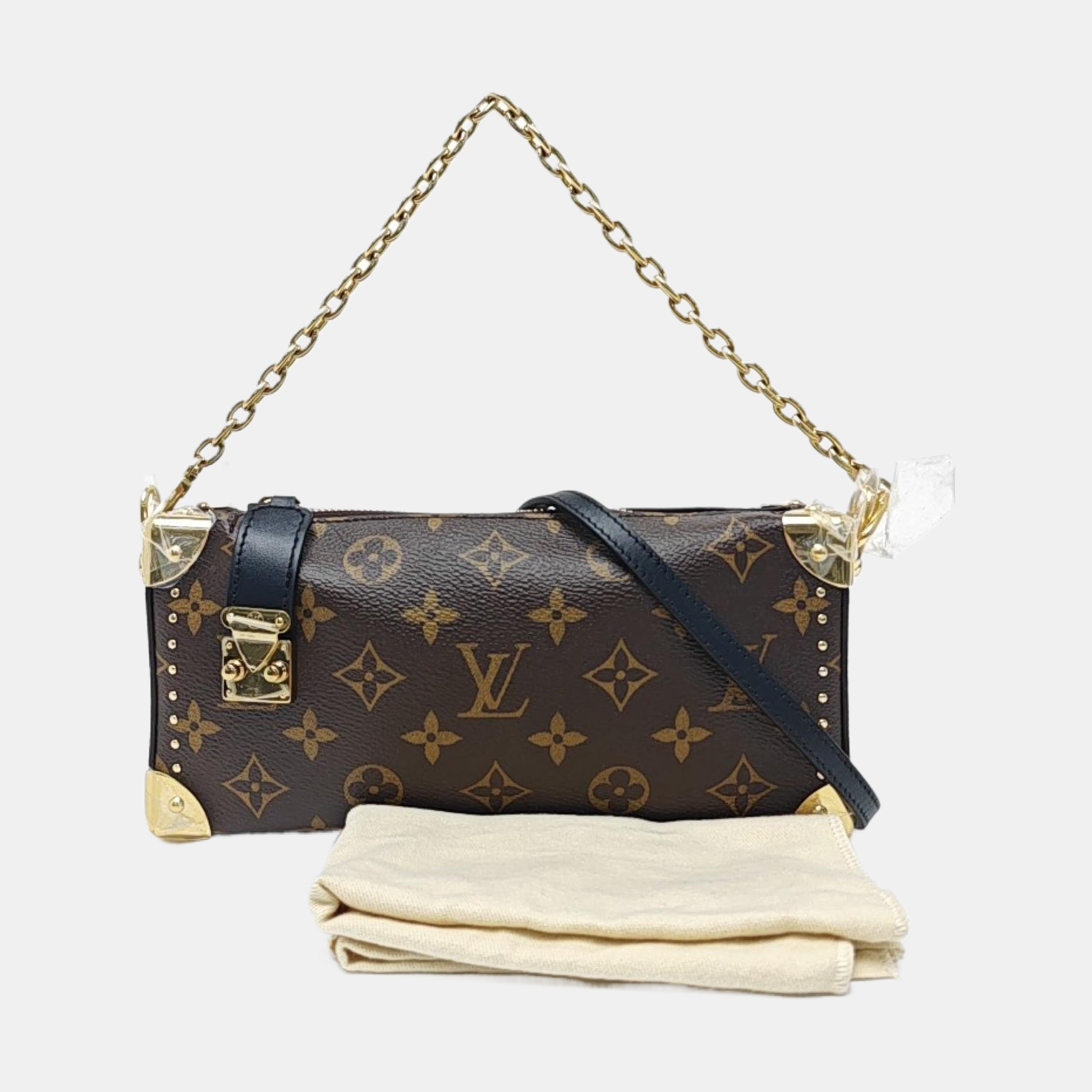 SLIM TRUNK Monogram Coated Canvas Brown