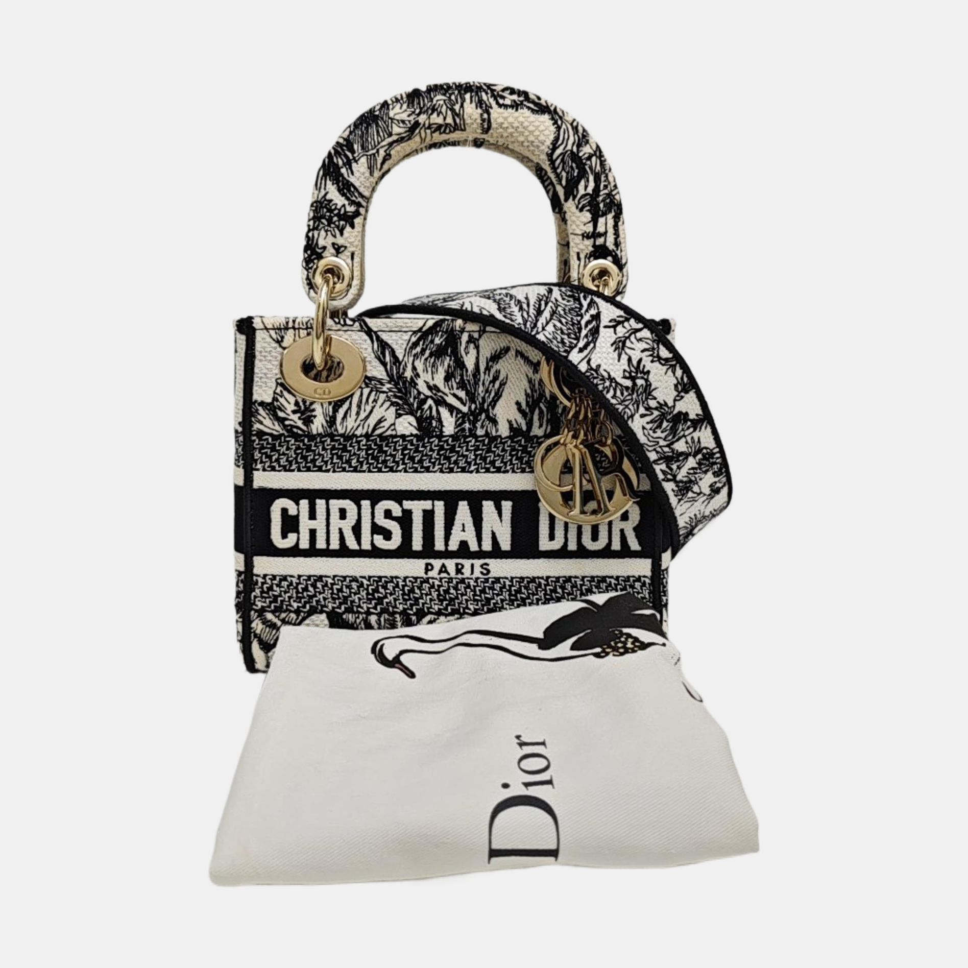 Lady Dior Mini Canvas Multicolor