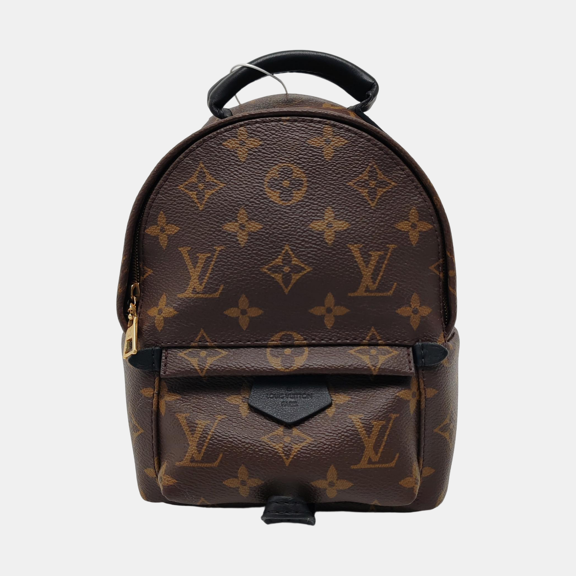 PALM SPRINGS Mini Monogram Coated Canvas Brown