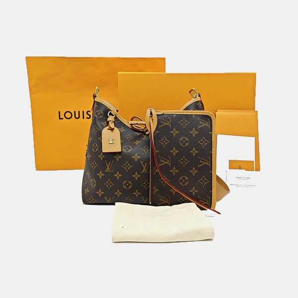 CARRYALL PM Monogram Coated Canvas Brown