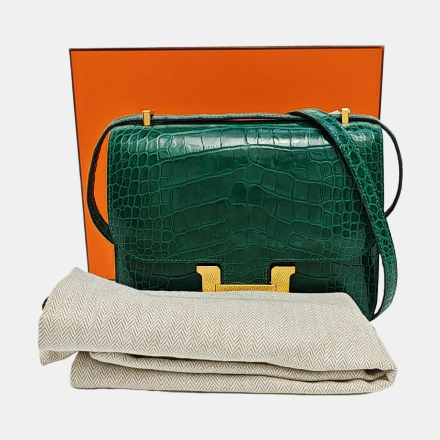 Constance 19 Shiny Porosus Crocodile Green