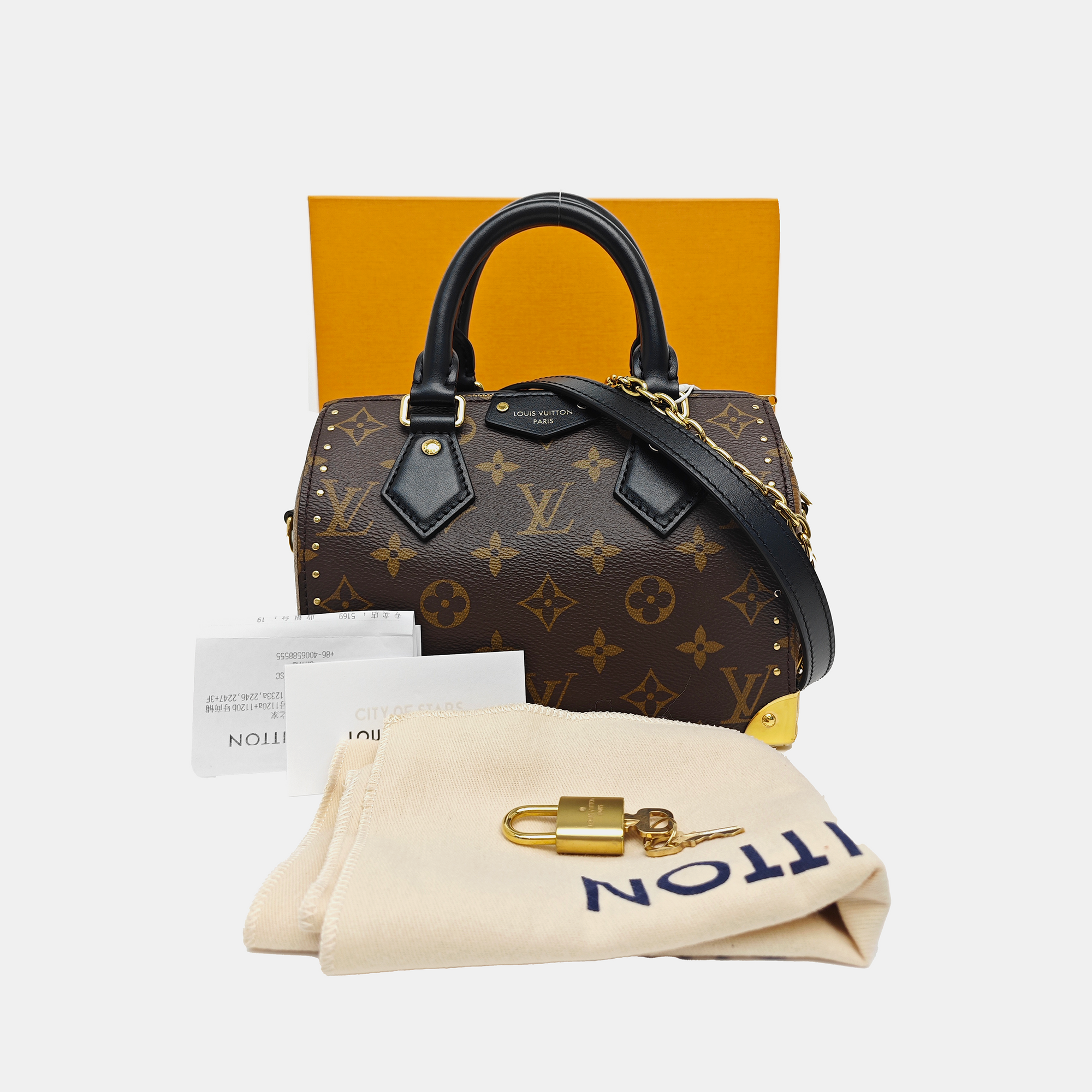 SPEEDY TRUNK 20 Monogram Coated Canvas Brown