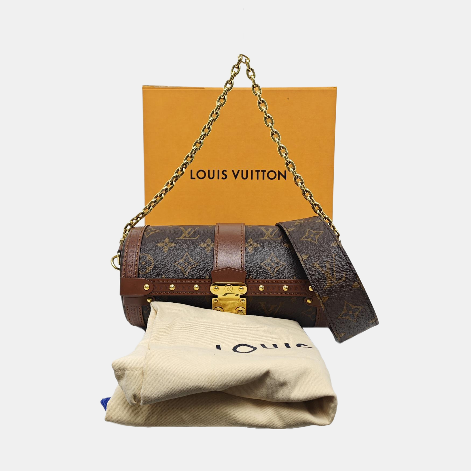 PAPILLON 19 Monogram Coated Canvas Brown