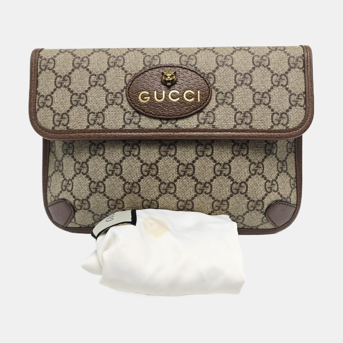 Neo Vintage Monogram Coated Canvas Beige