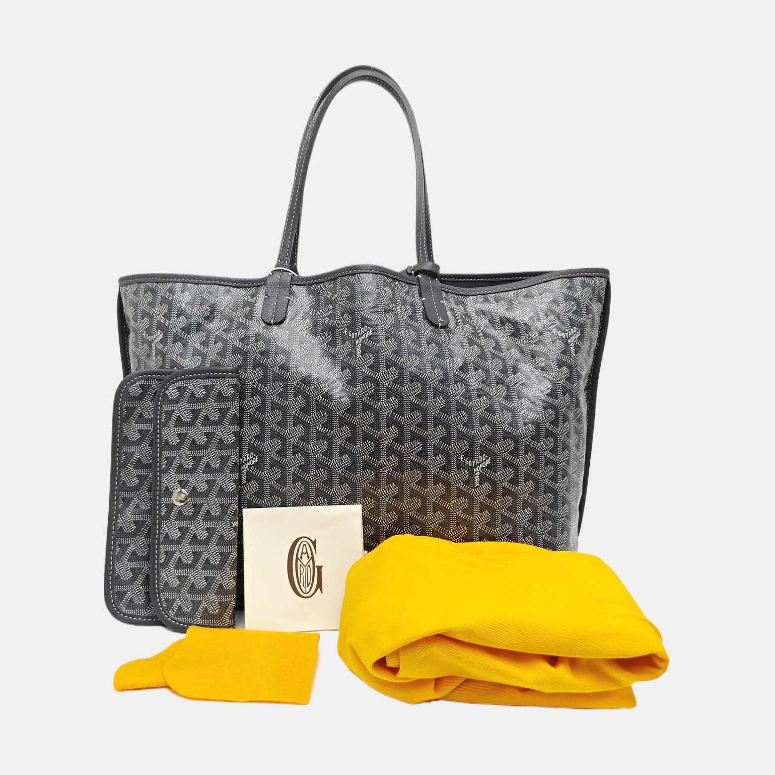 Saint Louis PM Coated Canvas Gray