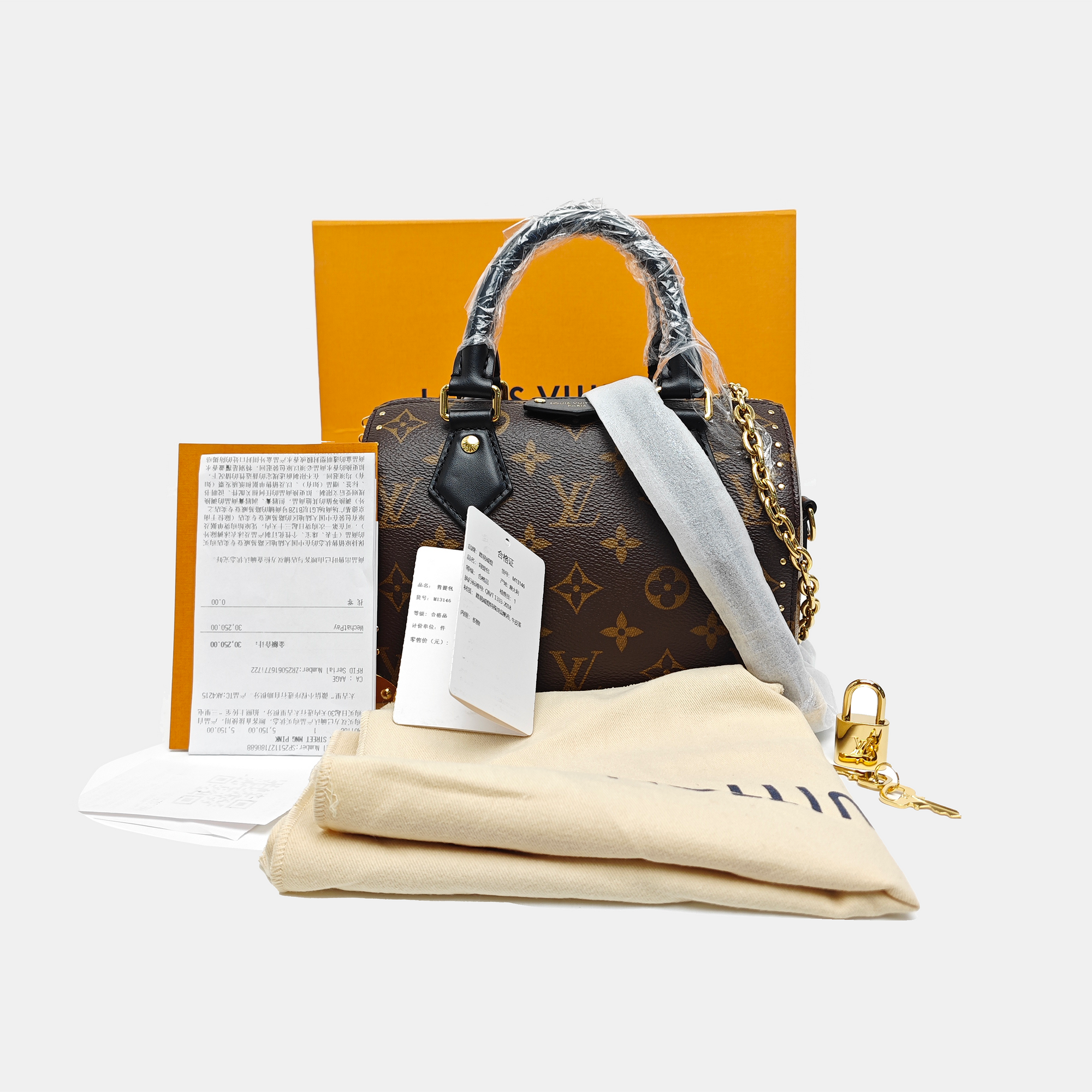 SPEEDY TRUNK 20 Monogram Coated Canvas Brown