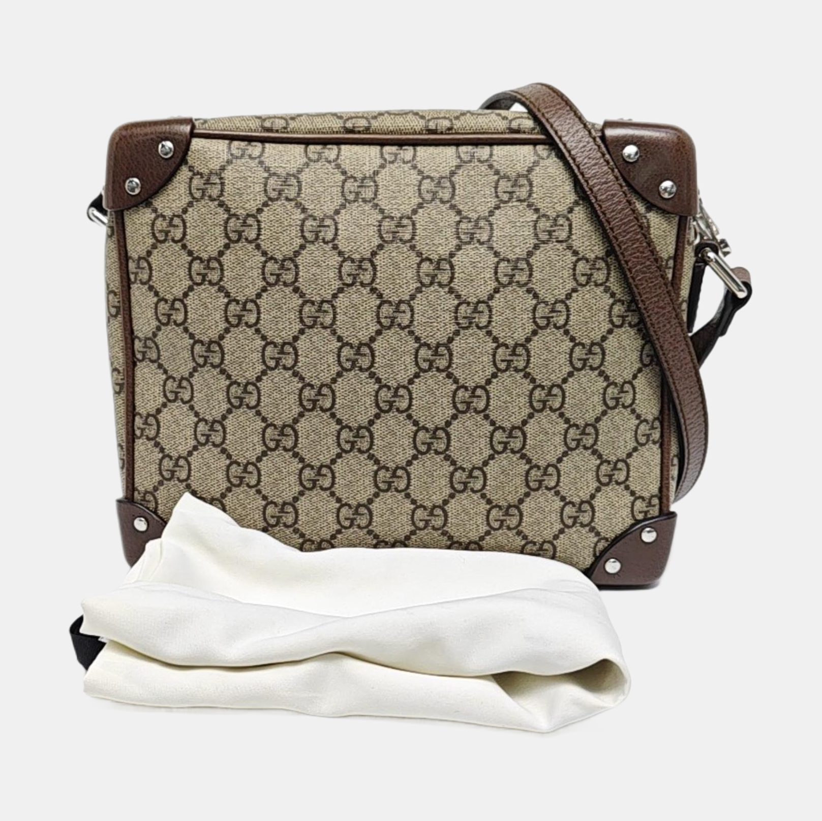 Trunk Monogram Coated Canvas Brown