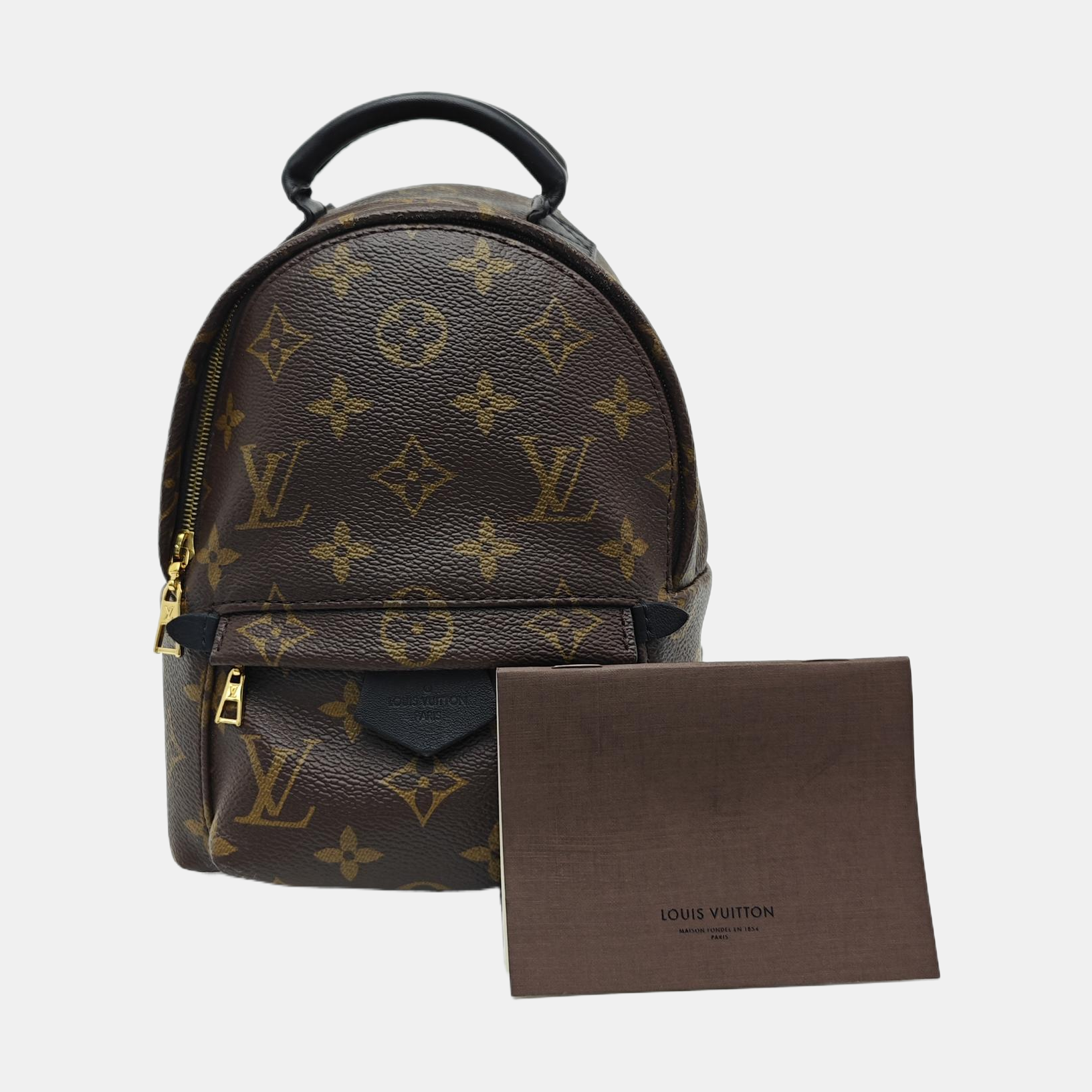 PALM SPRINGS Mini Monogram Coated Canvas Brown