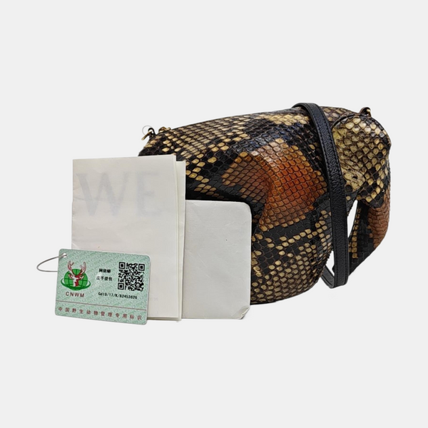 Animals Python Multicolor