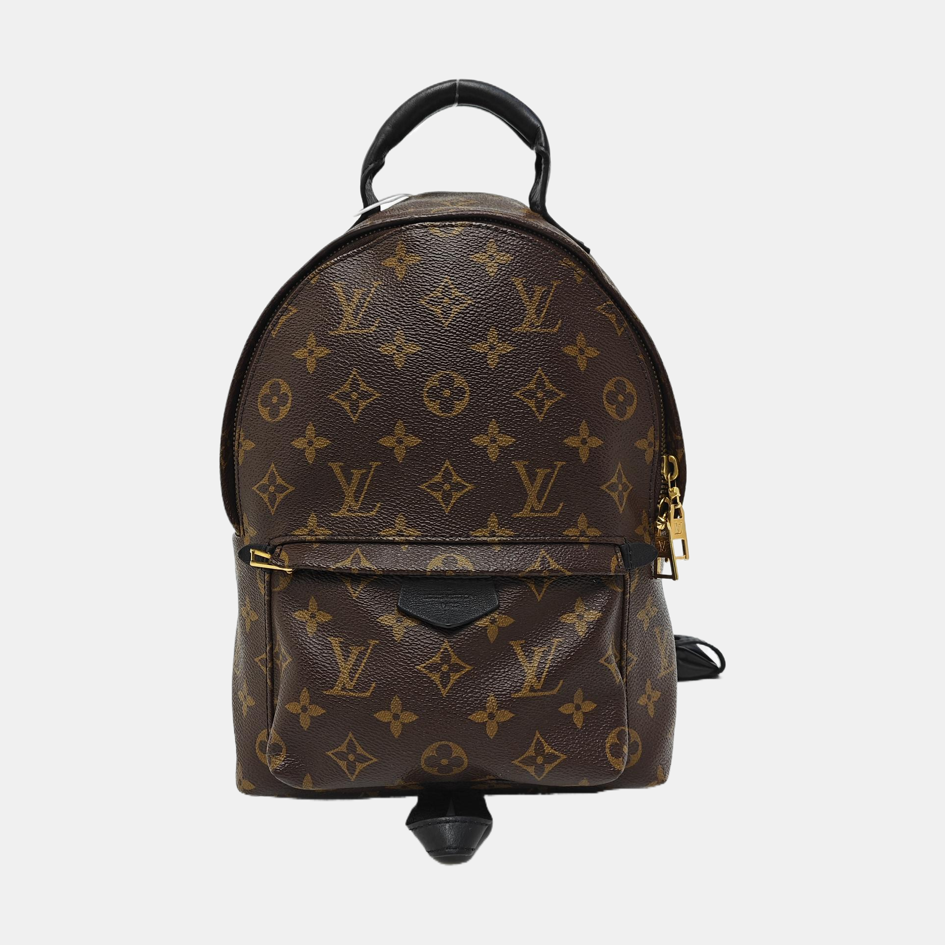 PALM SPRINGS PM Monogram Coated Canvas Brown