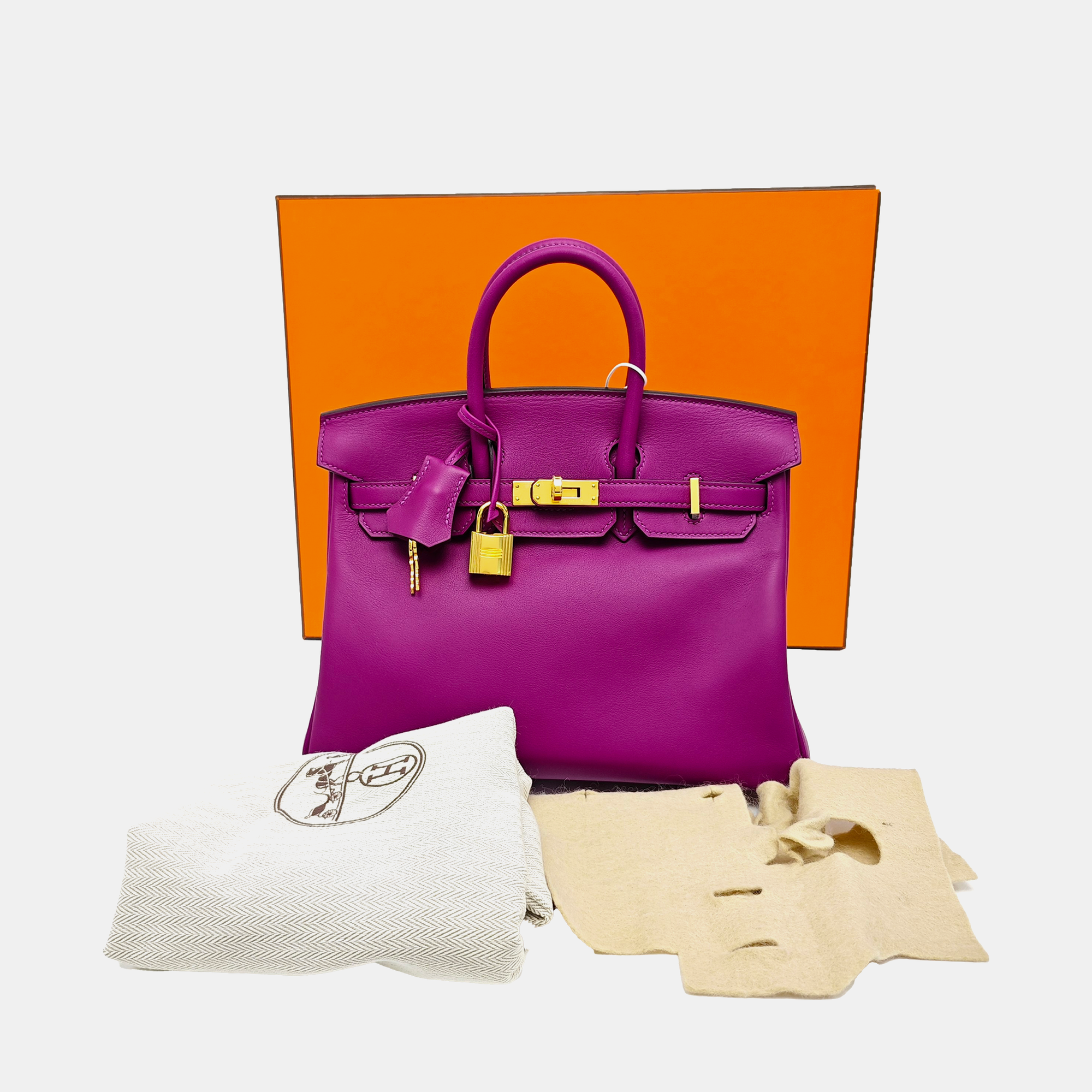 Birkin 25 Swift Purple