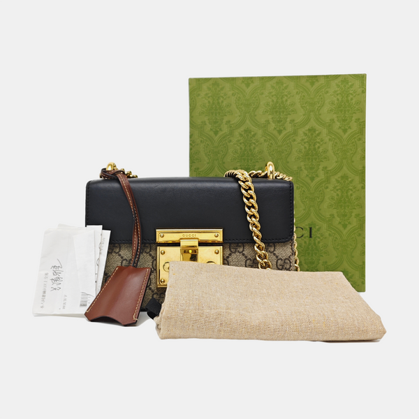 Padlock Small Monogram Coated Canvas Multicolor