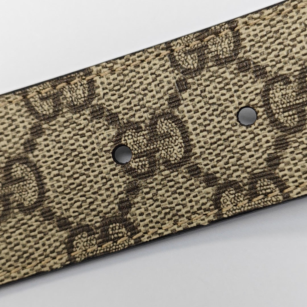 Coated Canvas Belt Beige