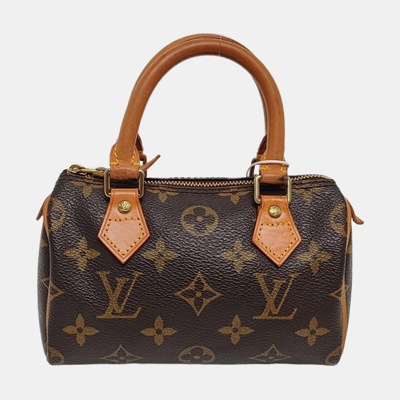 SPEEDY Nano Monogram Coated Canvas Brown