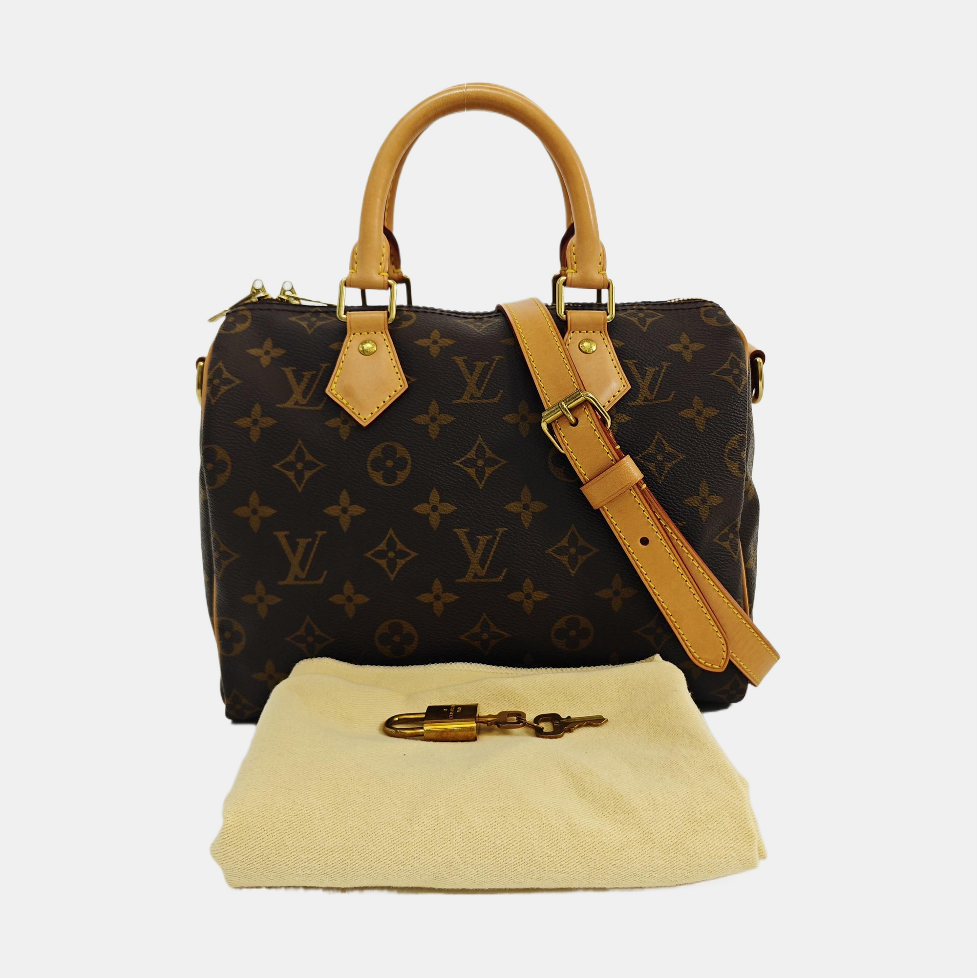SPEEDY 25 Monogram Coated Canvas Brown