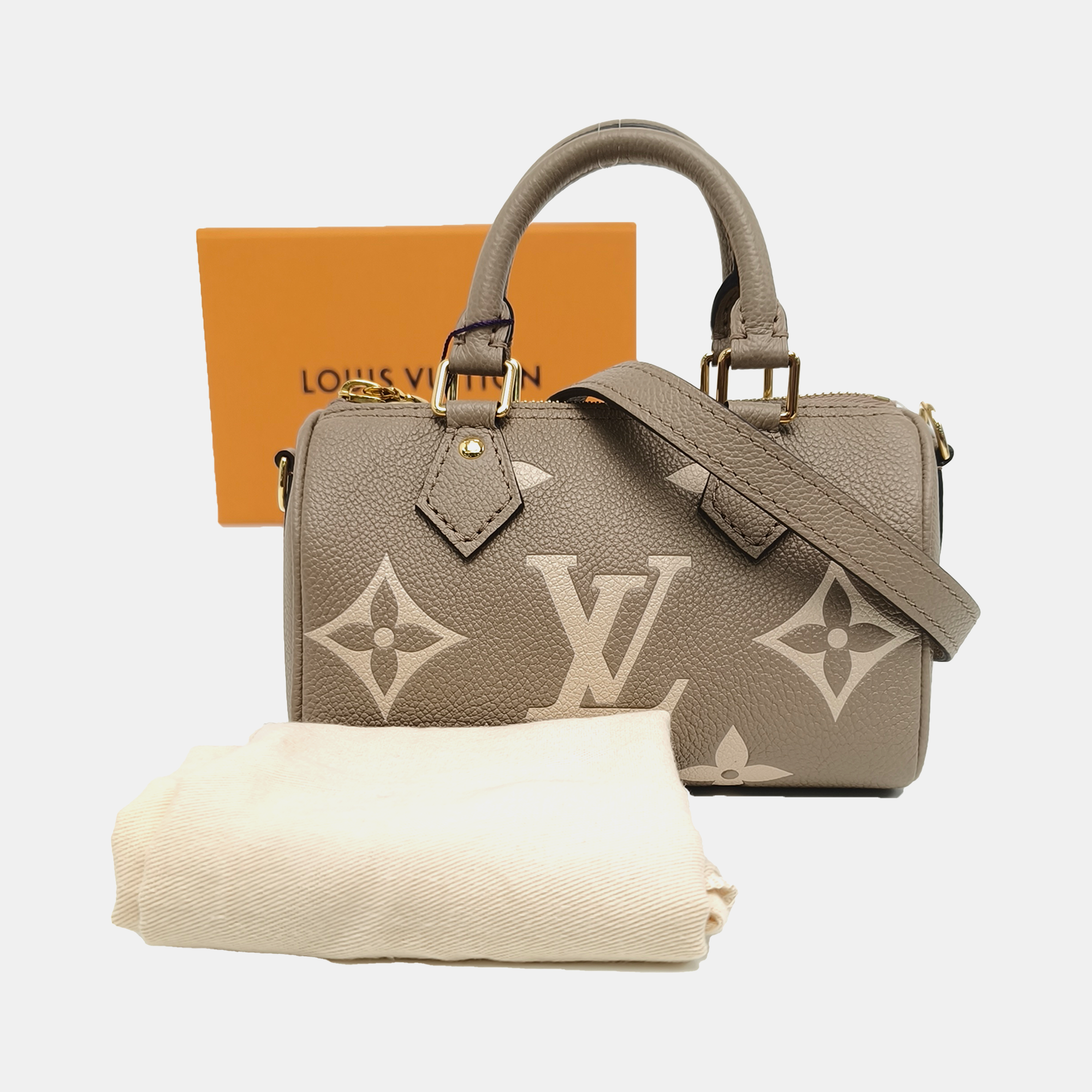 SPEEDY Nano Monogram Calfskin Gray