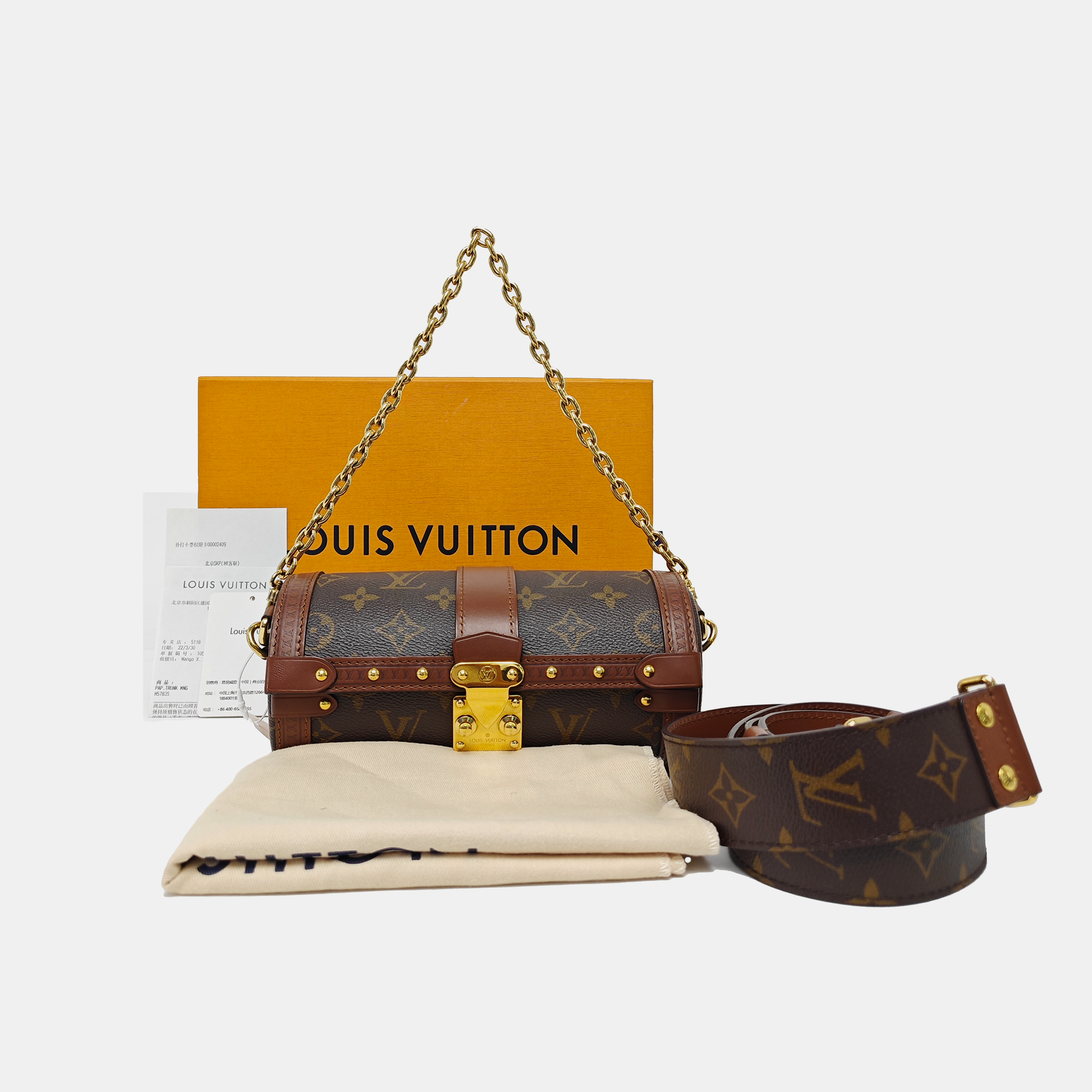 PAPILLON 19 Monogram Coated Canvas Brown