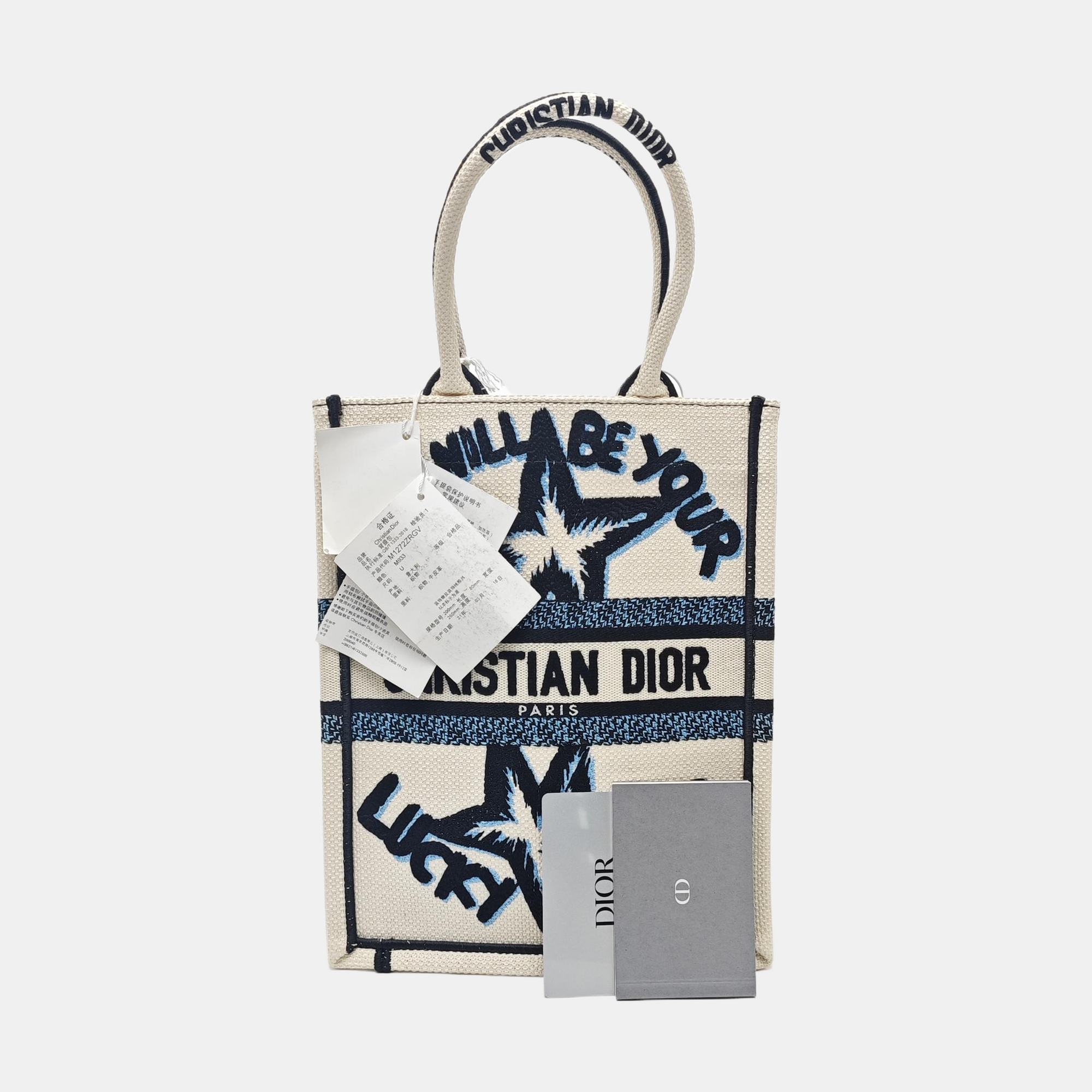 Book Tote Fabric Blue
