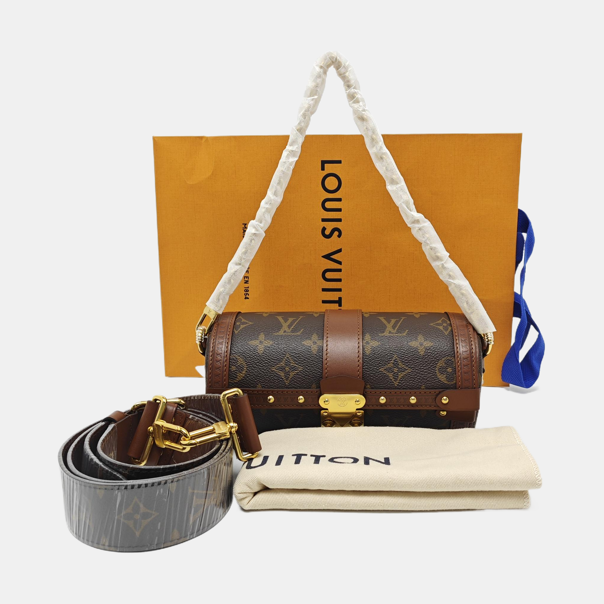 PAPILLON 19 Monogram Coated Canvas Brown