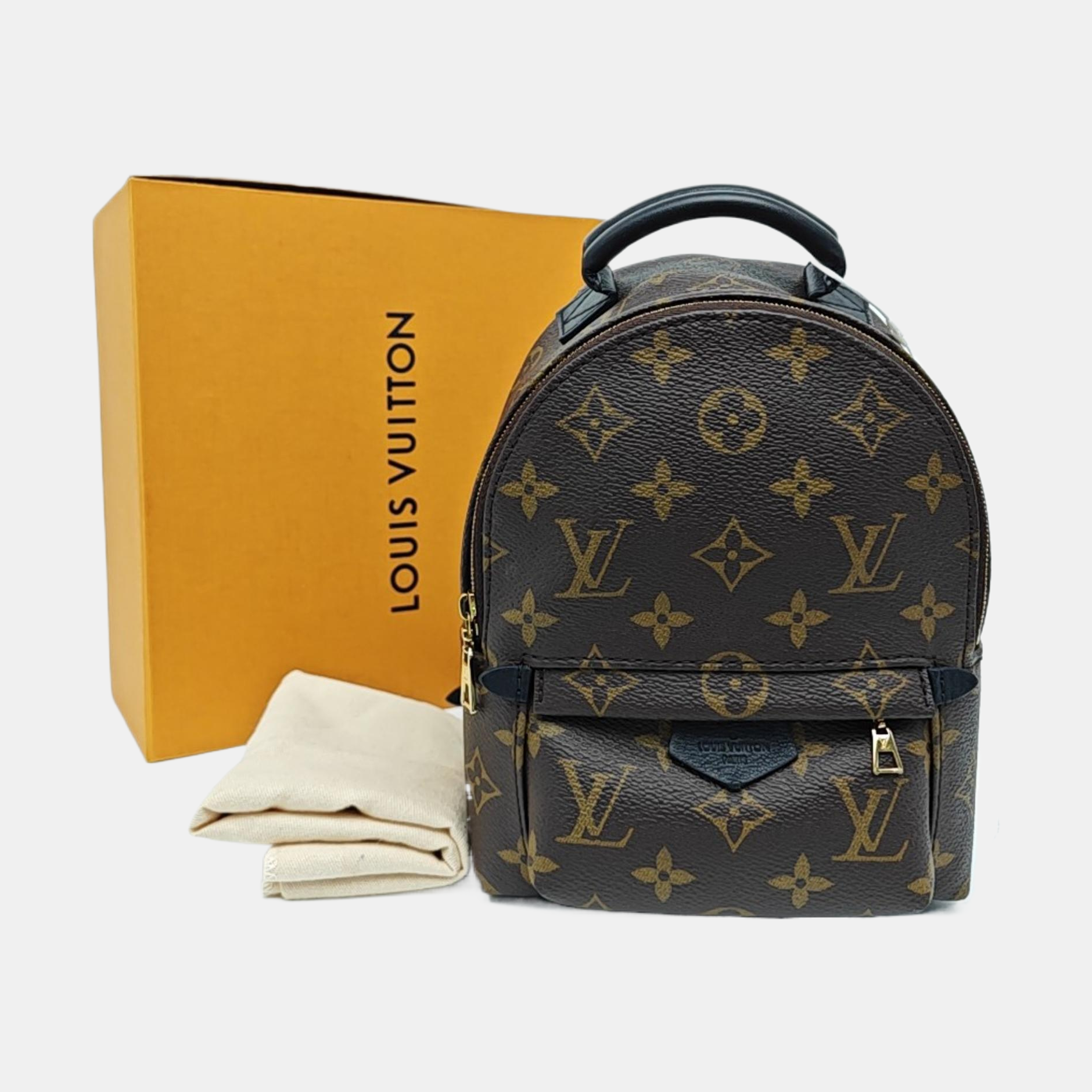 PALM SPRINGS Mini Monogram Coated Canvas Brown
