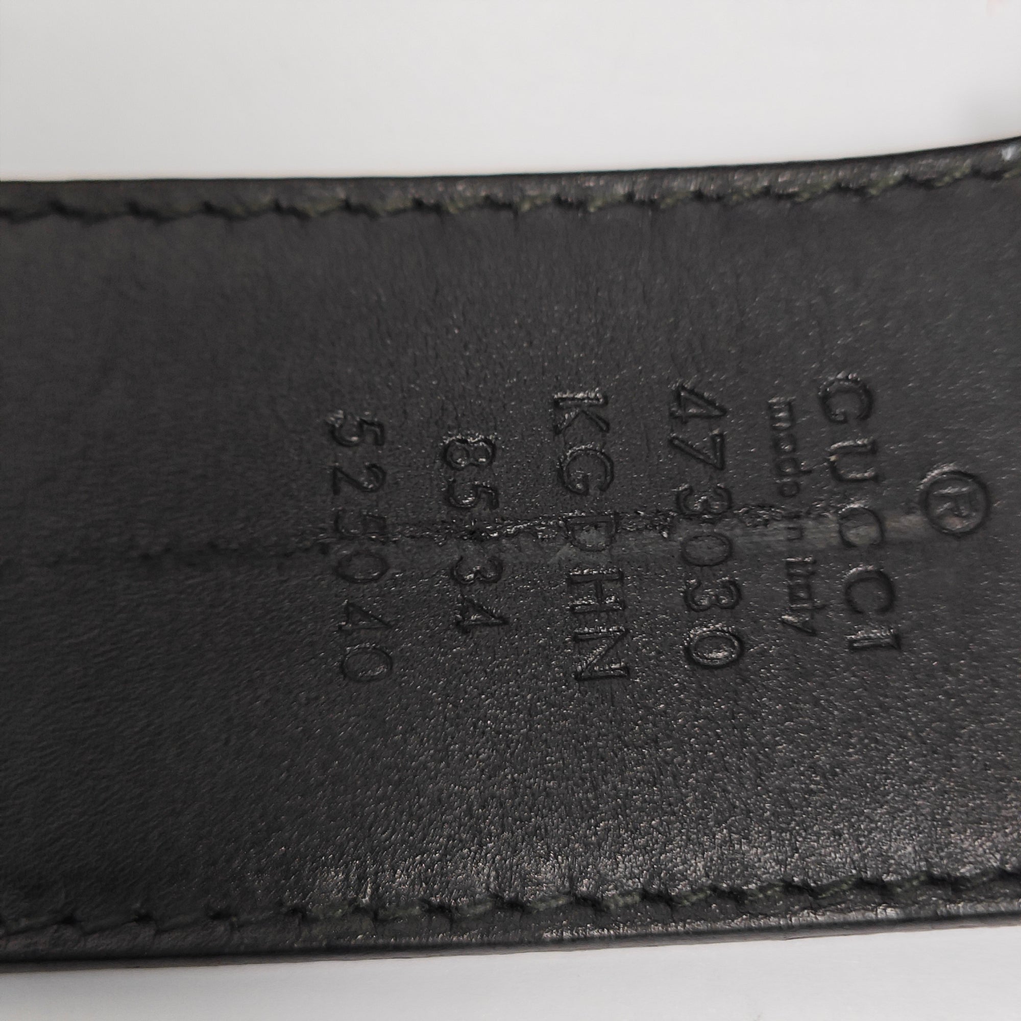 Coated Canvas Belt Beige