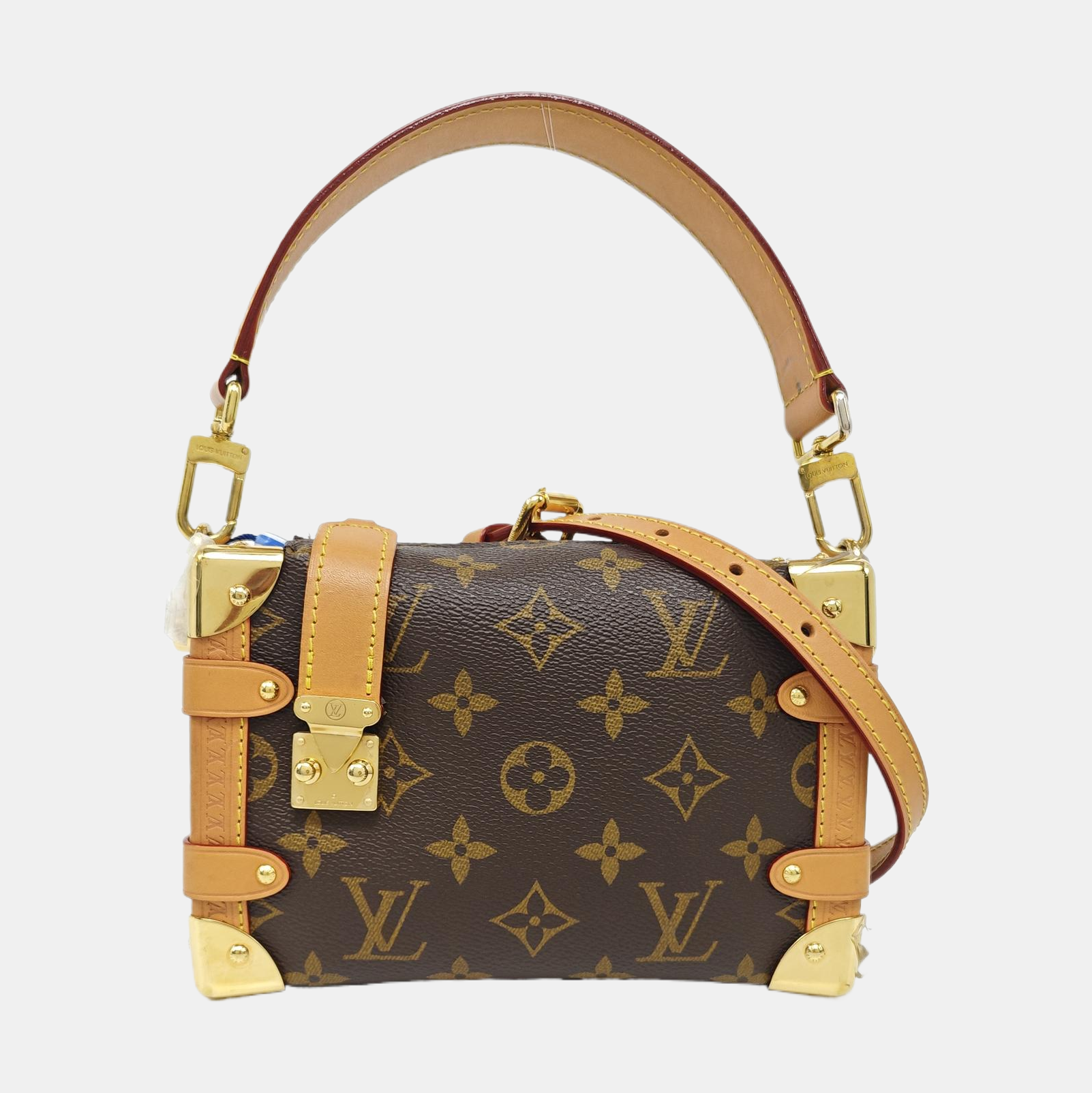 SIDE TRUNK PM Monogram Coated Canvas Brown