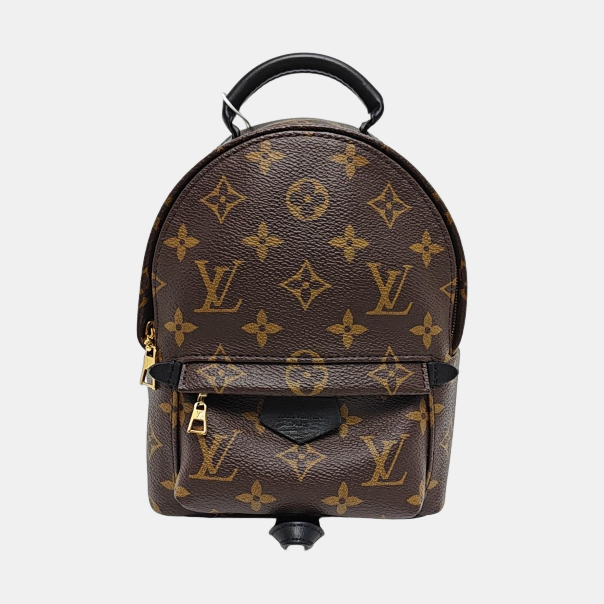 PALM SPRINGS Mini Monogram Coated Canvas Brown