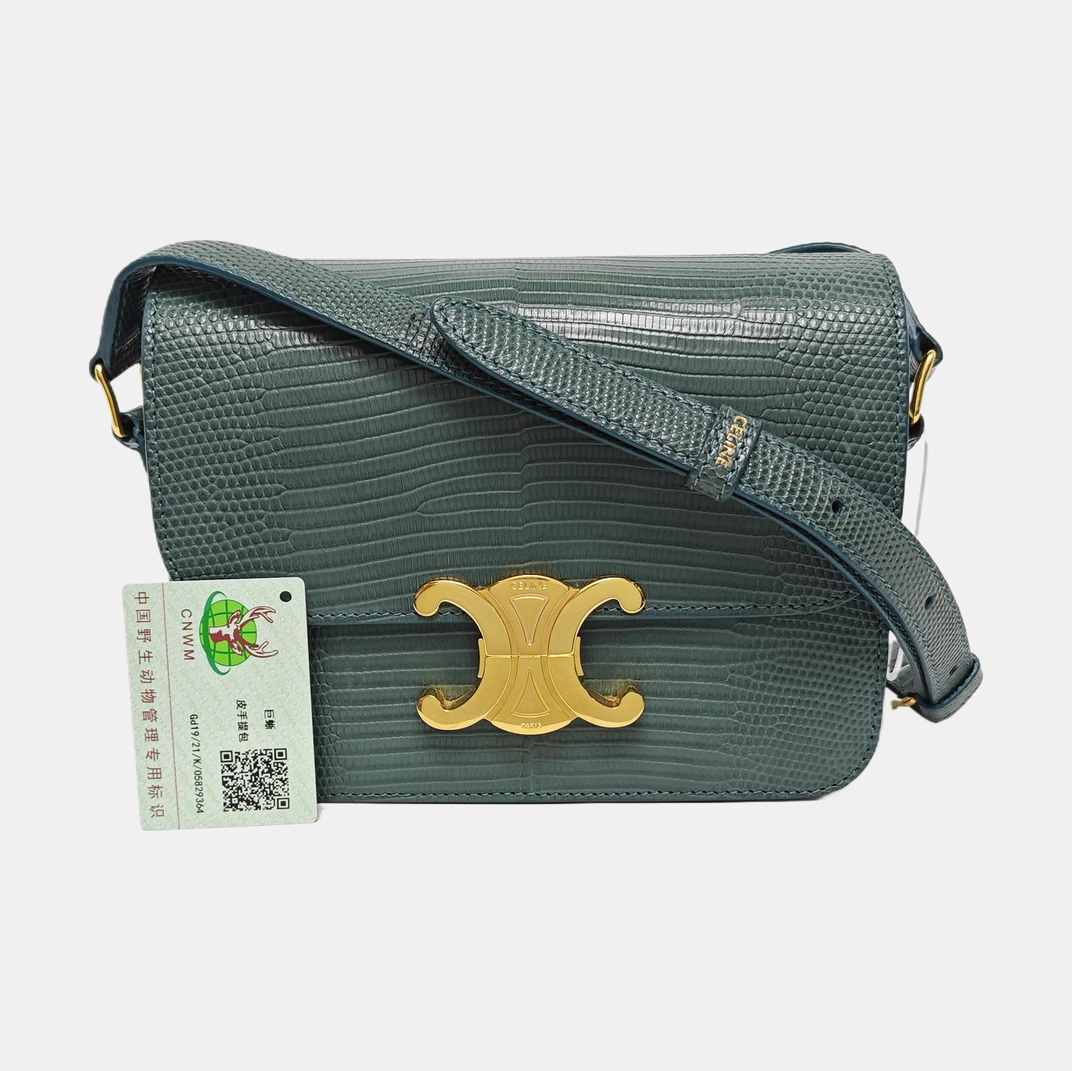 TRIOMPHE Small Lizard Green