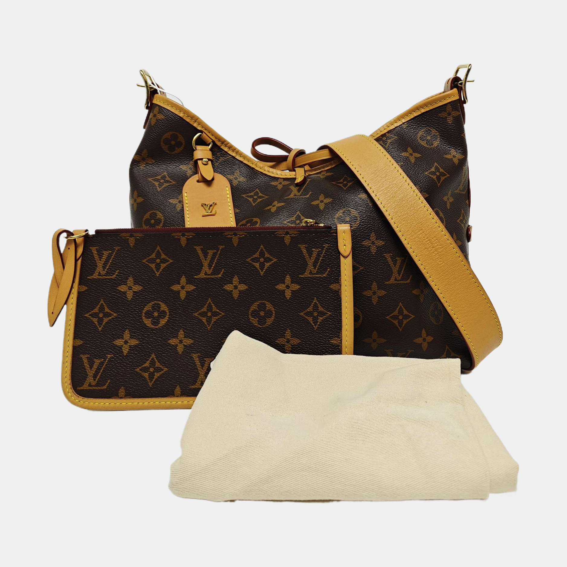 CARRYALL PM Monogram Coated Canvas Brown