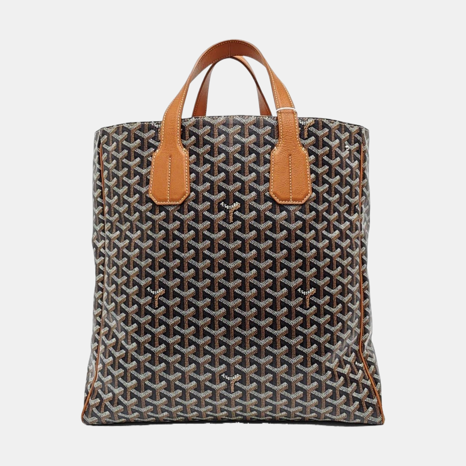 Saint Louis GM Coated Canvas Black