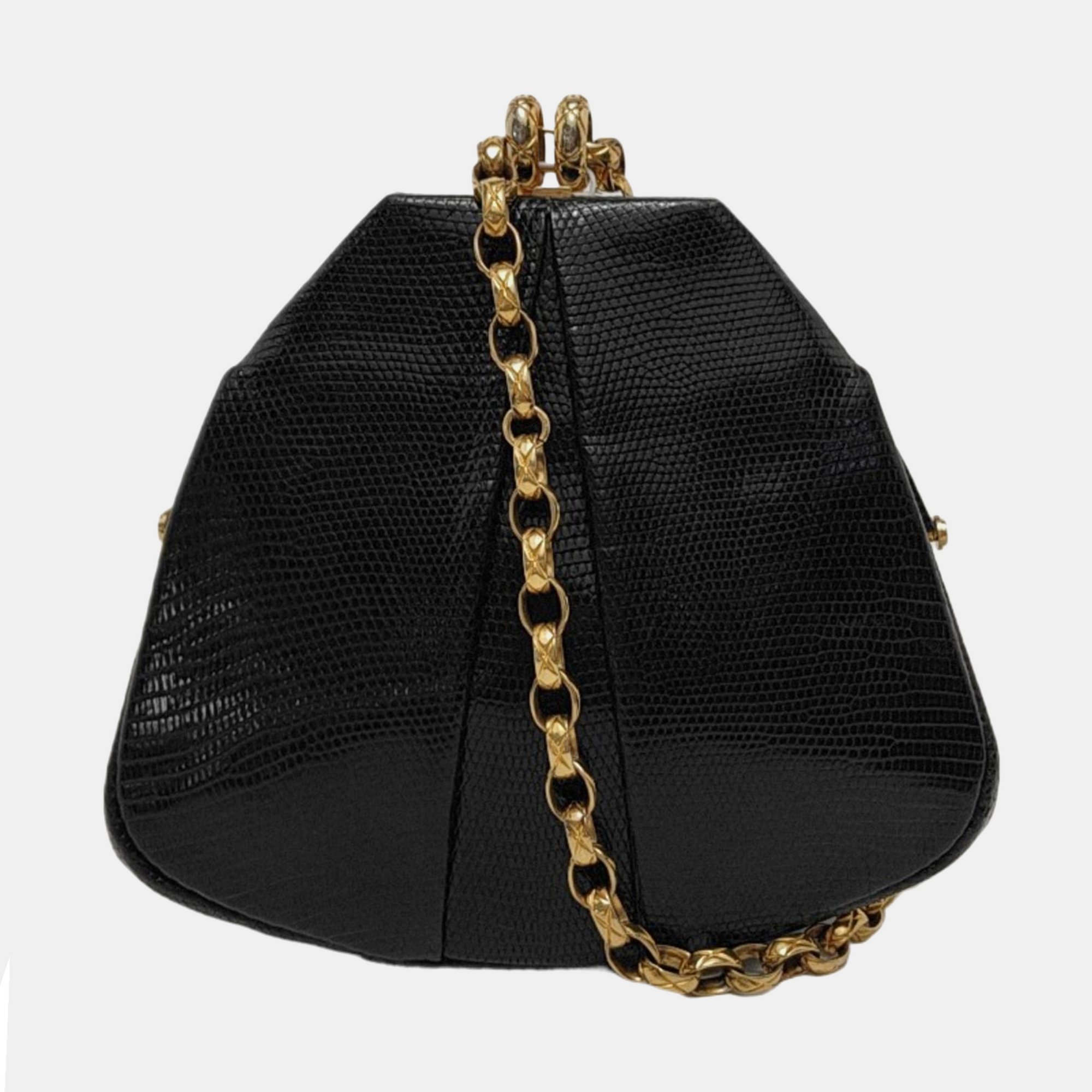 Lizard Black
