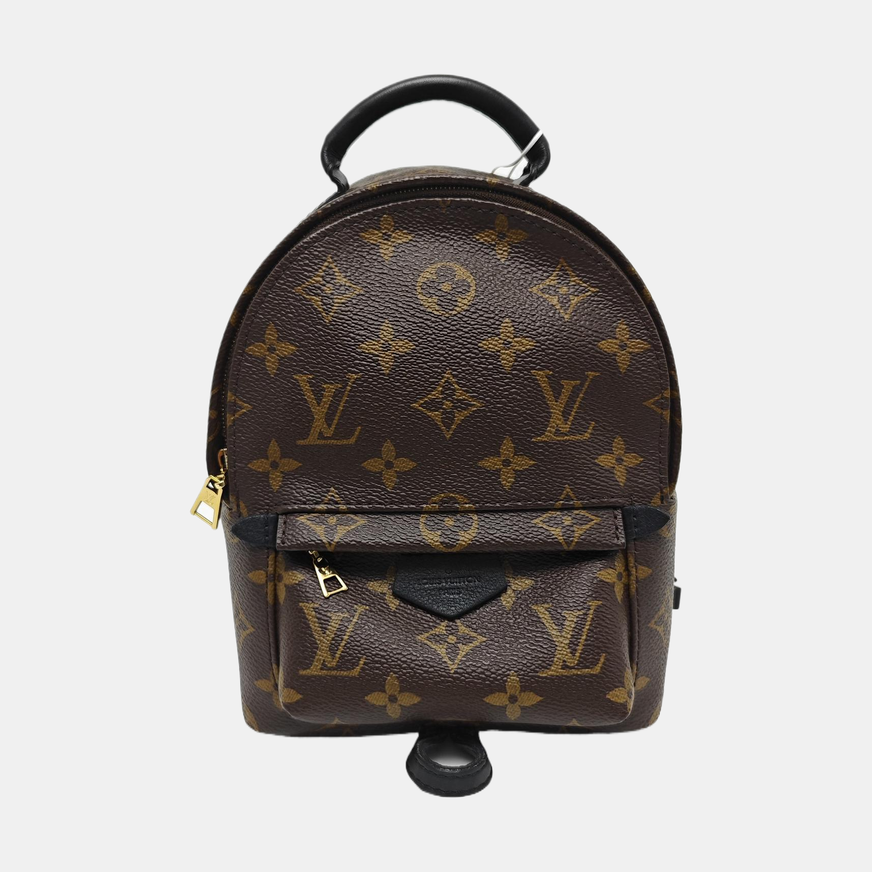 PALM SPRINGS Mini Monogram Coated Canvas Brown