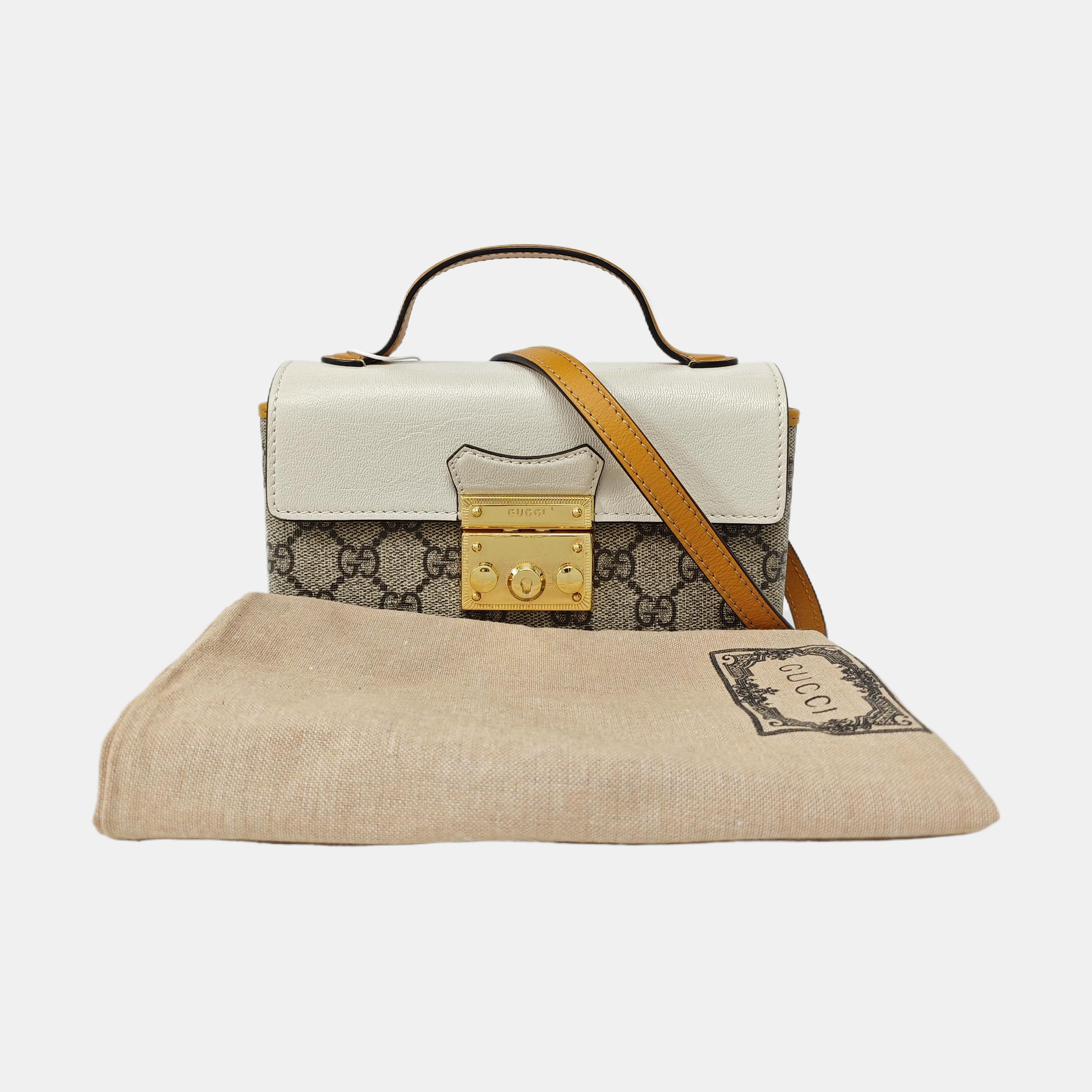 Padlock Mini Monogram Coated Canvas Multicolor