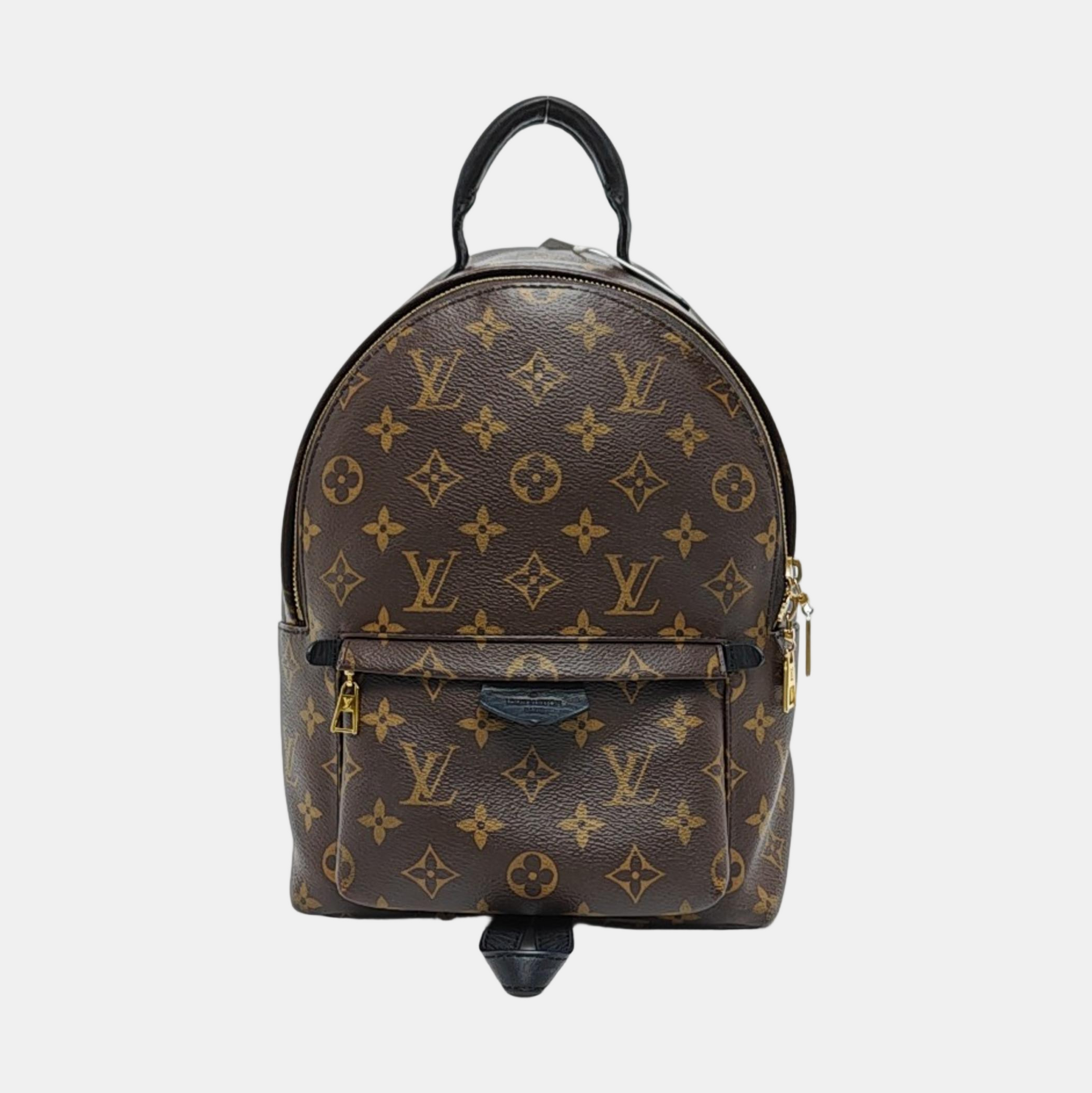 PALM SPRINGS PM Monogram Coated Canvas Brown