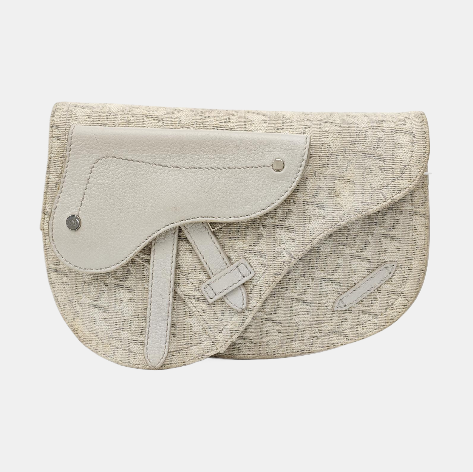 Saddle Small Oblique Canvas Beige