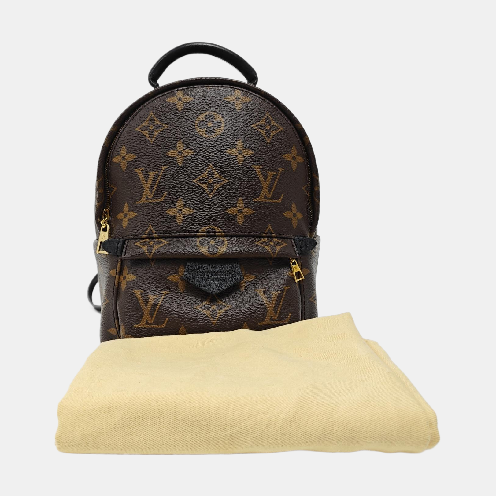 PALM SPRINGS Mini Monogram Coated Canvas Brown