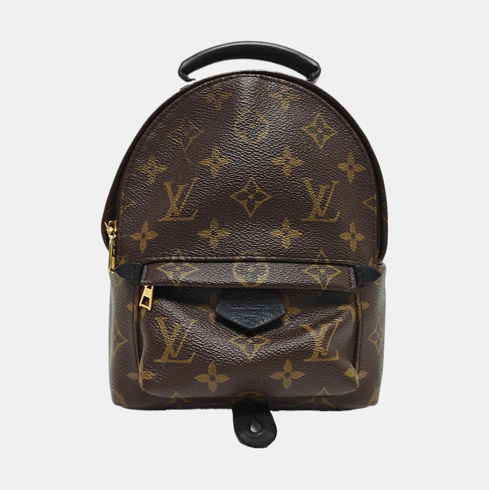 PALM SPRINGS Mini Monogram Coated Canvas Brown