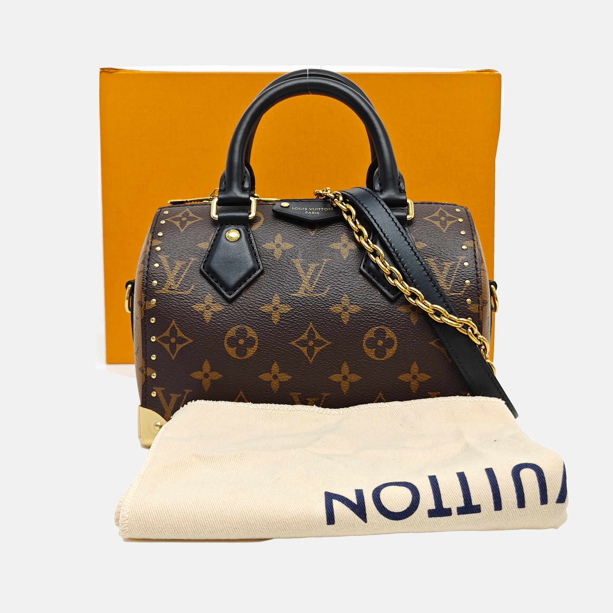 SPEEDY TRUNK 20 Monogram Coated Canvas Brown