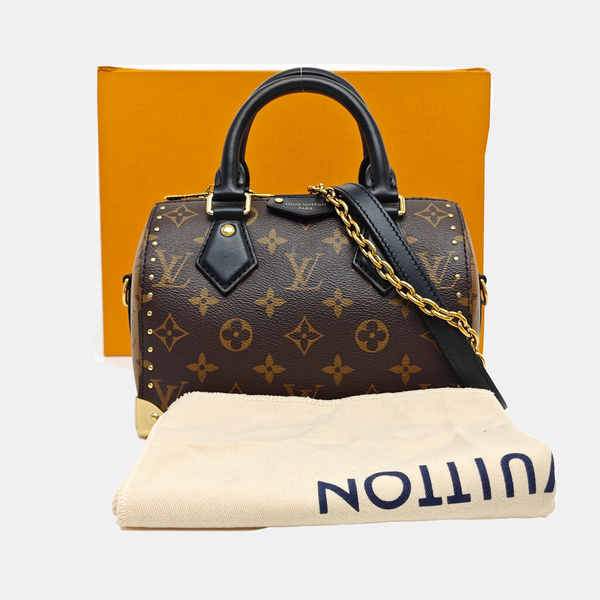 SPEEDY TRUNK 20 Monogram Coated Canvas Brown