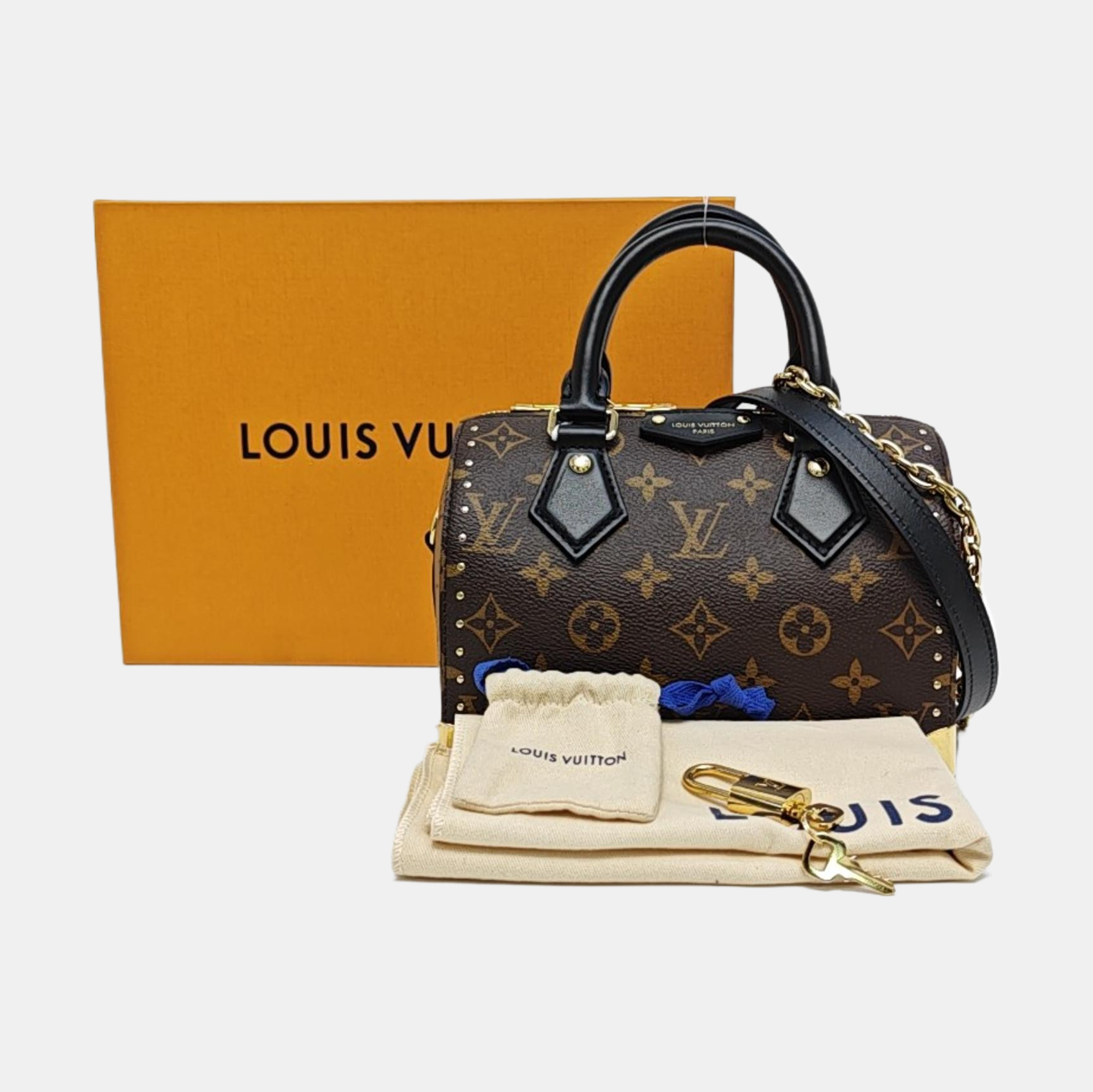 SPEEDY TRUNK 20 Monogram Coated Canvas Brown