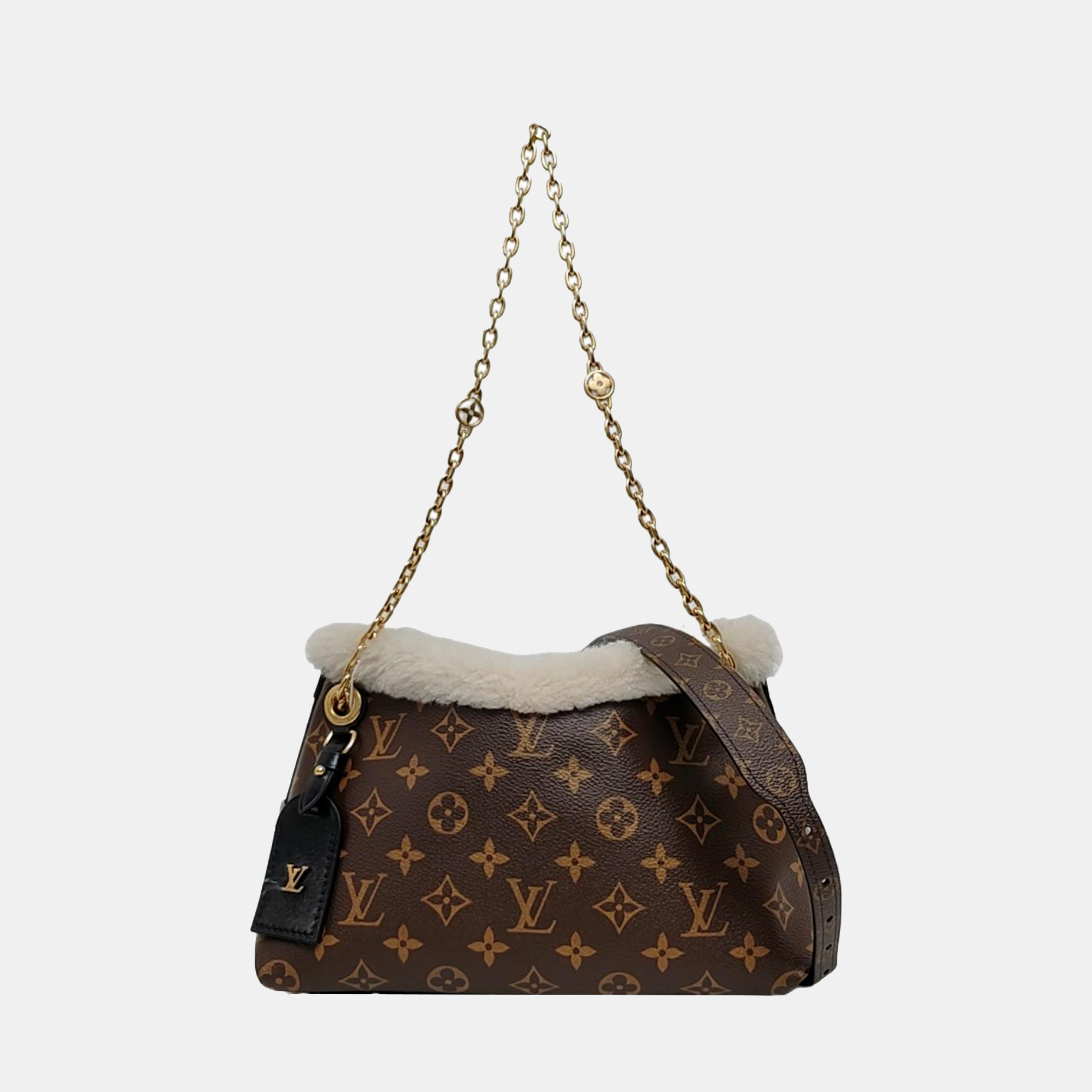 CARRYALL BB Monogram Coated Canvas Brown