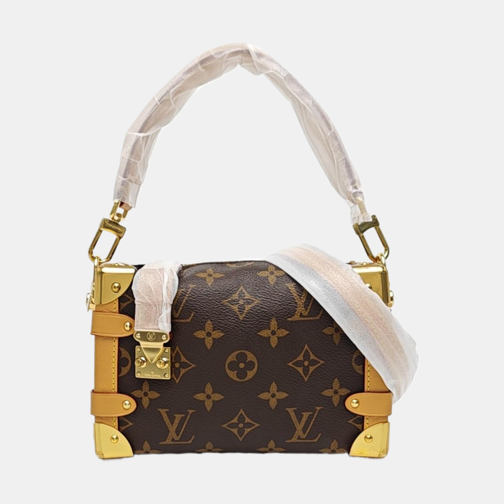 SIDE TRUNK PM Monogram Coated Canvas Brown