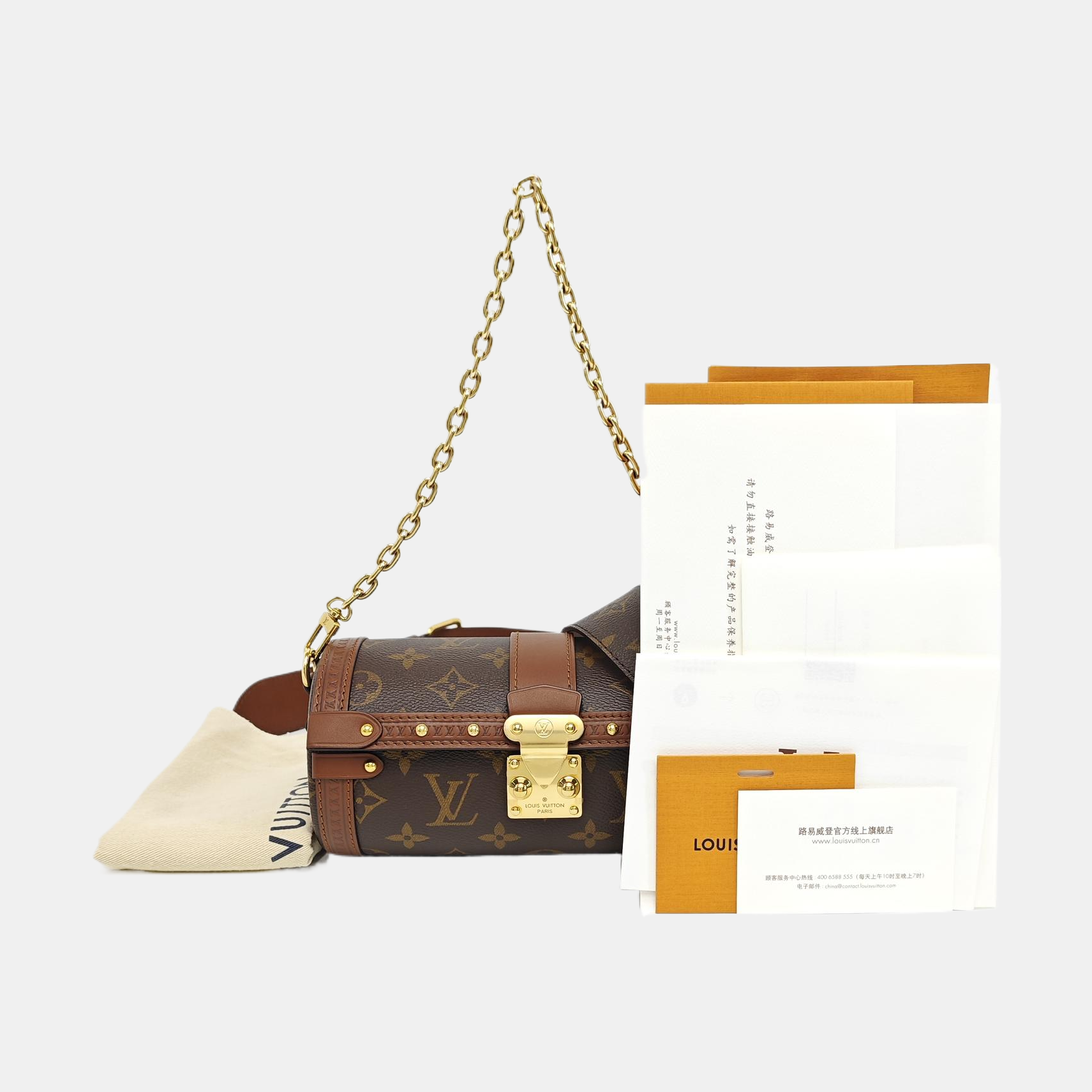 PAPILLON 19 Monogram Coated Canvas Brown